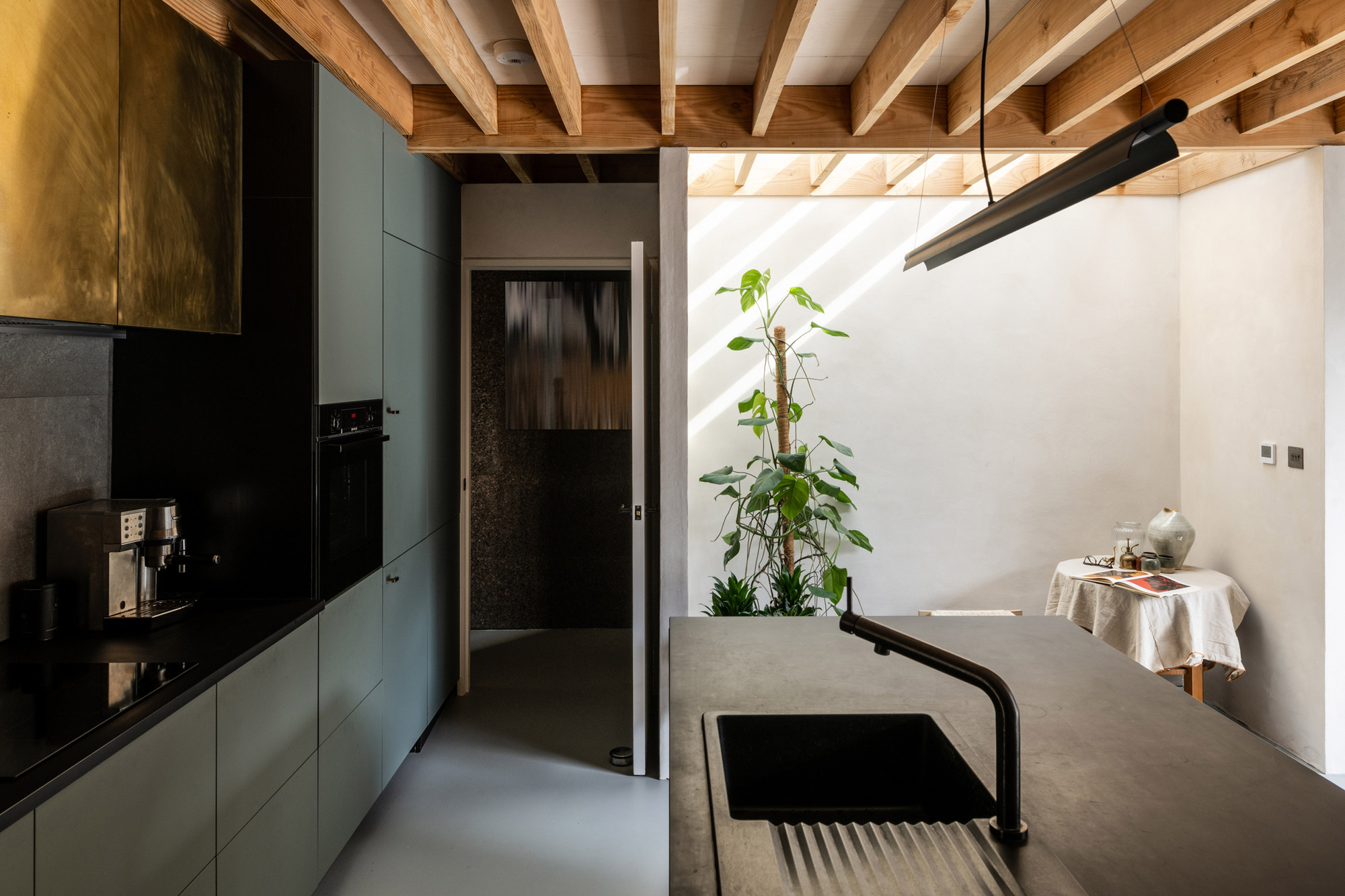 Kitchen with green cabinetry and a concrete island sink, a monstera in a skylit alcove throwing diagonal sunlight on the wall