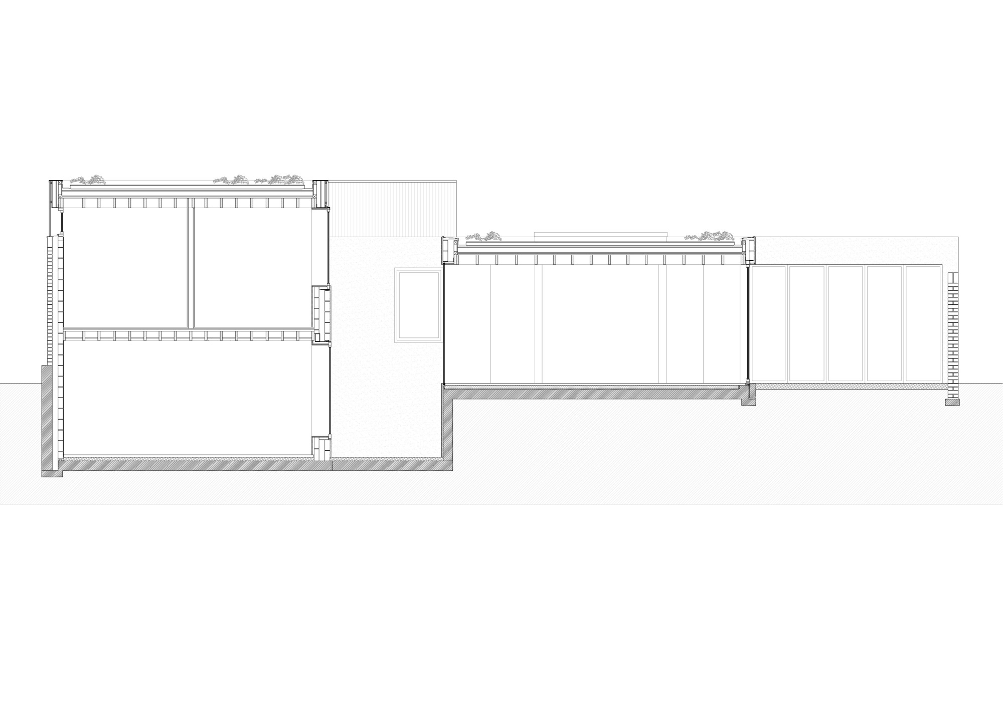 Section drawing cutting through a two-storey volume and a lower single-storey wing, with planted roofs and a run of glazed doors