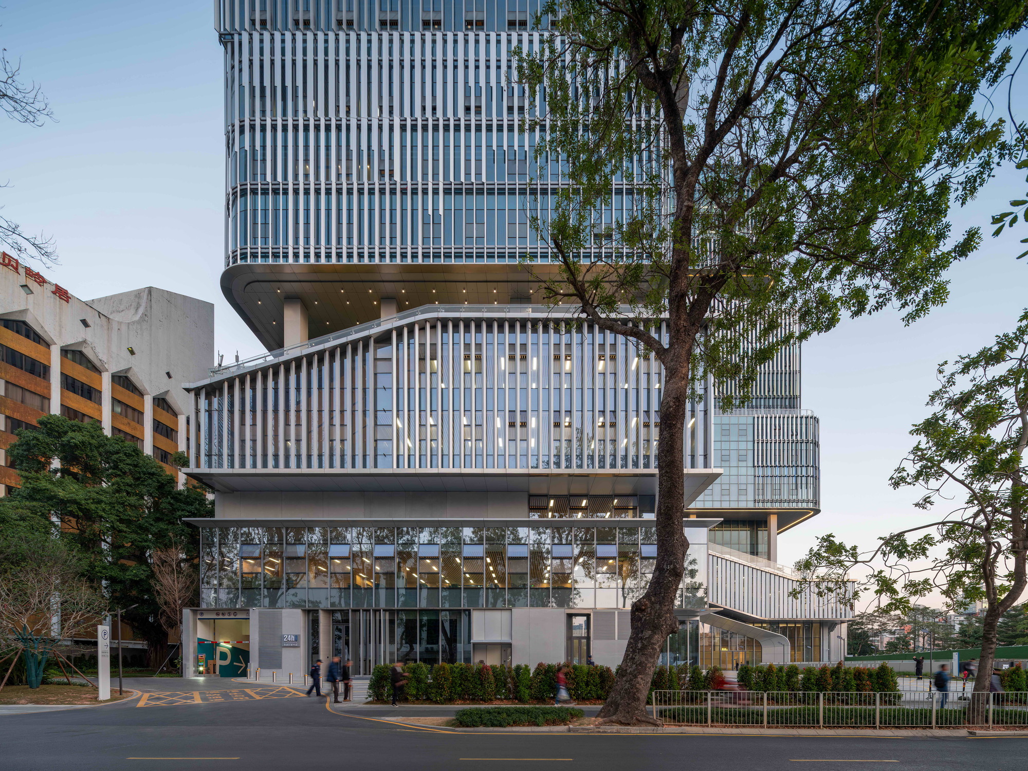 Base of the tower with vertical fin facade and a glazed ground floor, framed by a large tree at dusk
