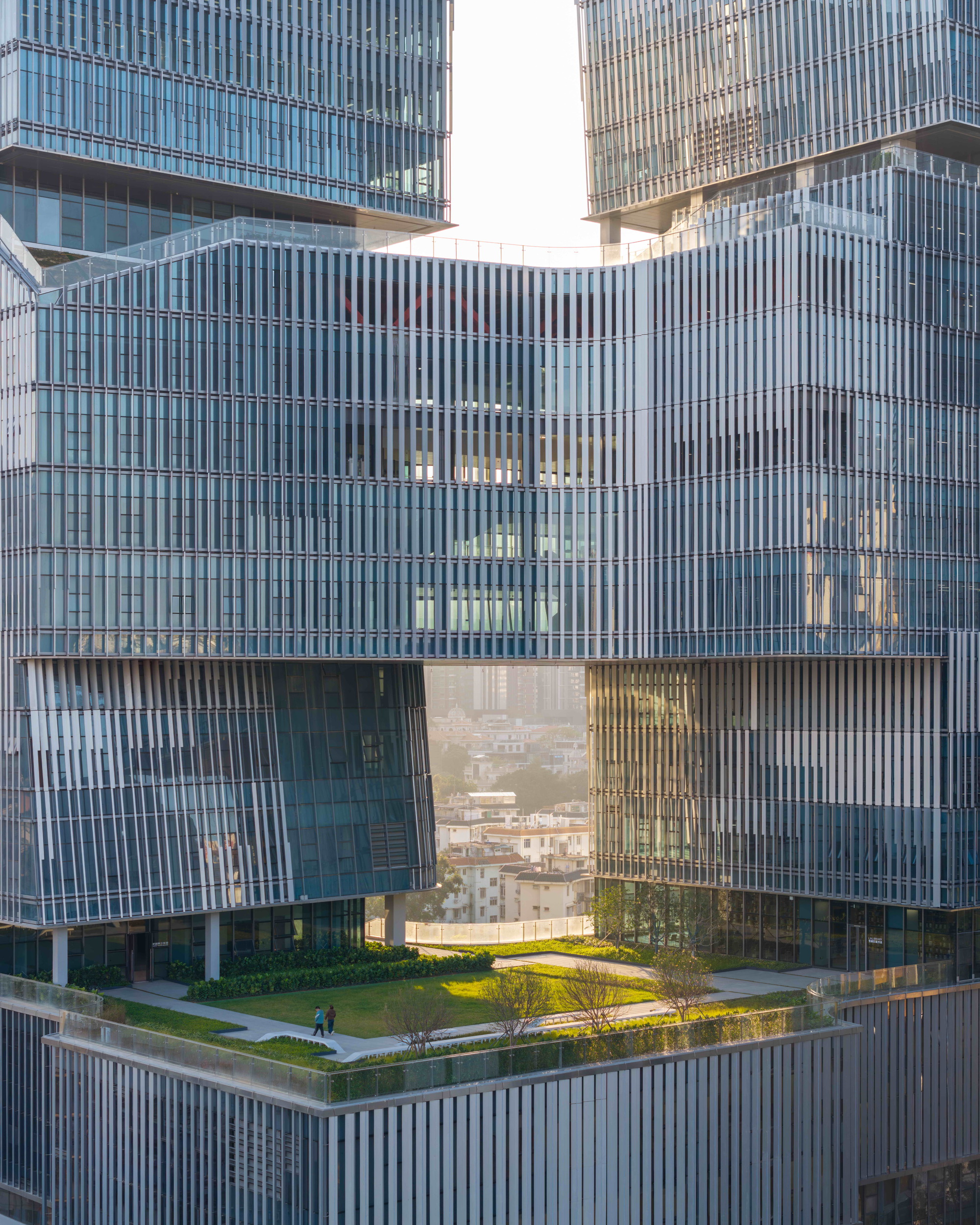 Rooftop garden with a winding path between the lifted tower volumes, lit by low golden sun
