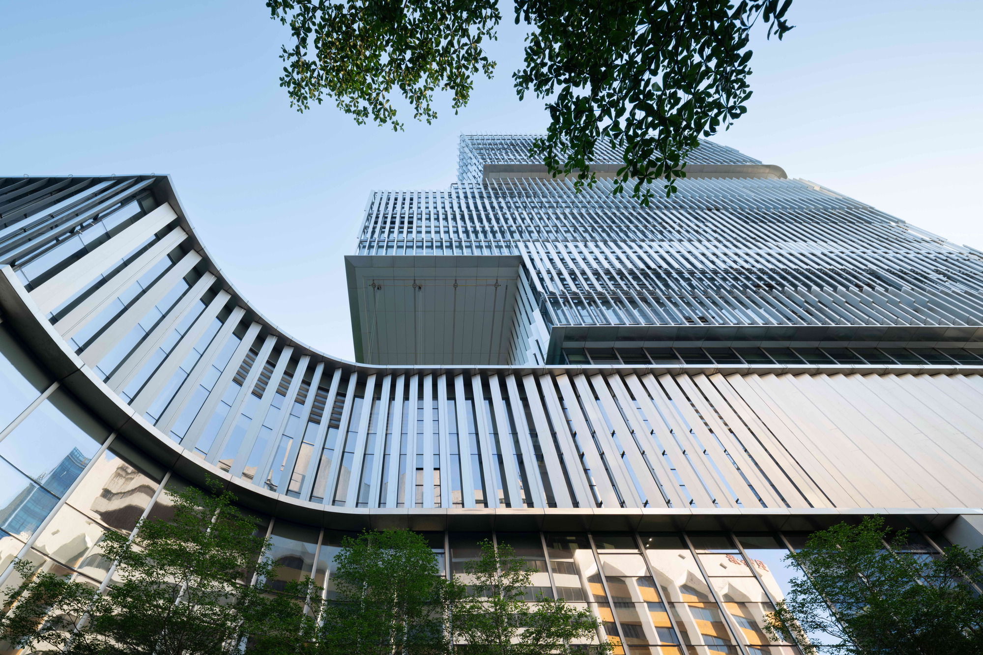 Upward view of the curved fin-clad canopy sweeping toward the tower, with leaves overhanging in late afternoon light