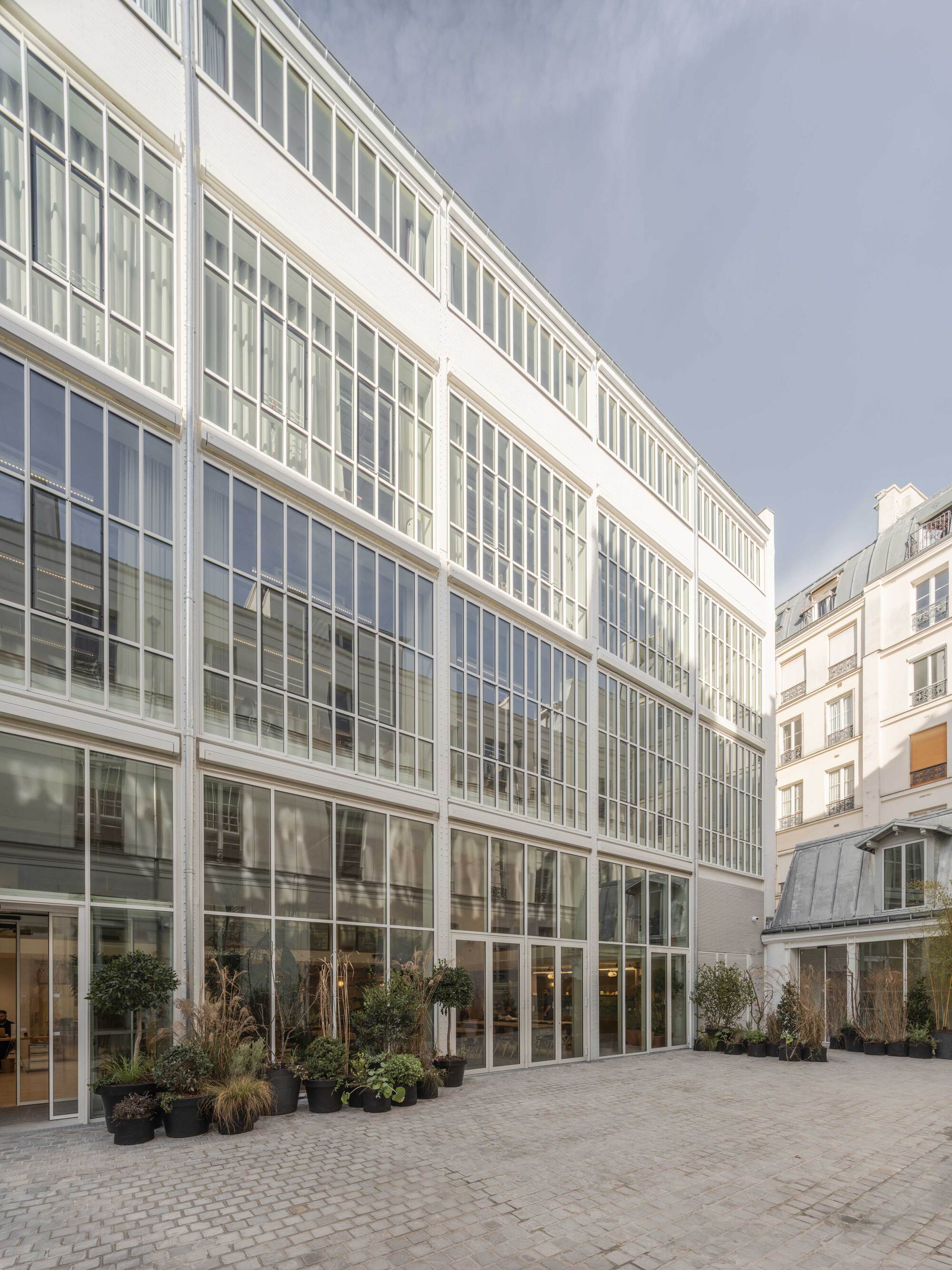 Tall glazed courtyard facade with slim white mullions above planters of grasses and shrubs on a cobbled floor under a cloudy sky