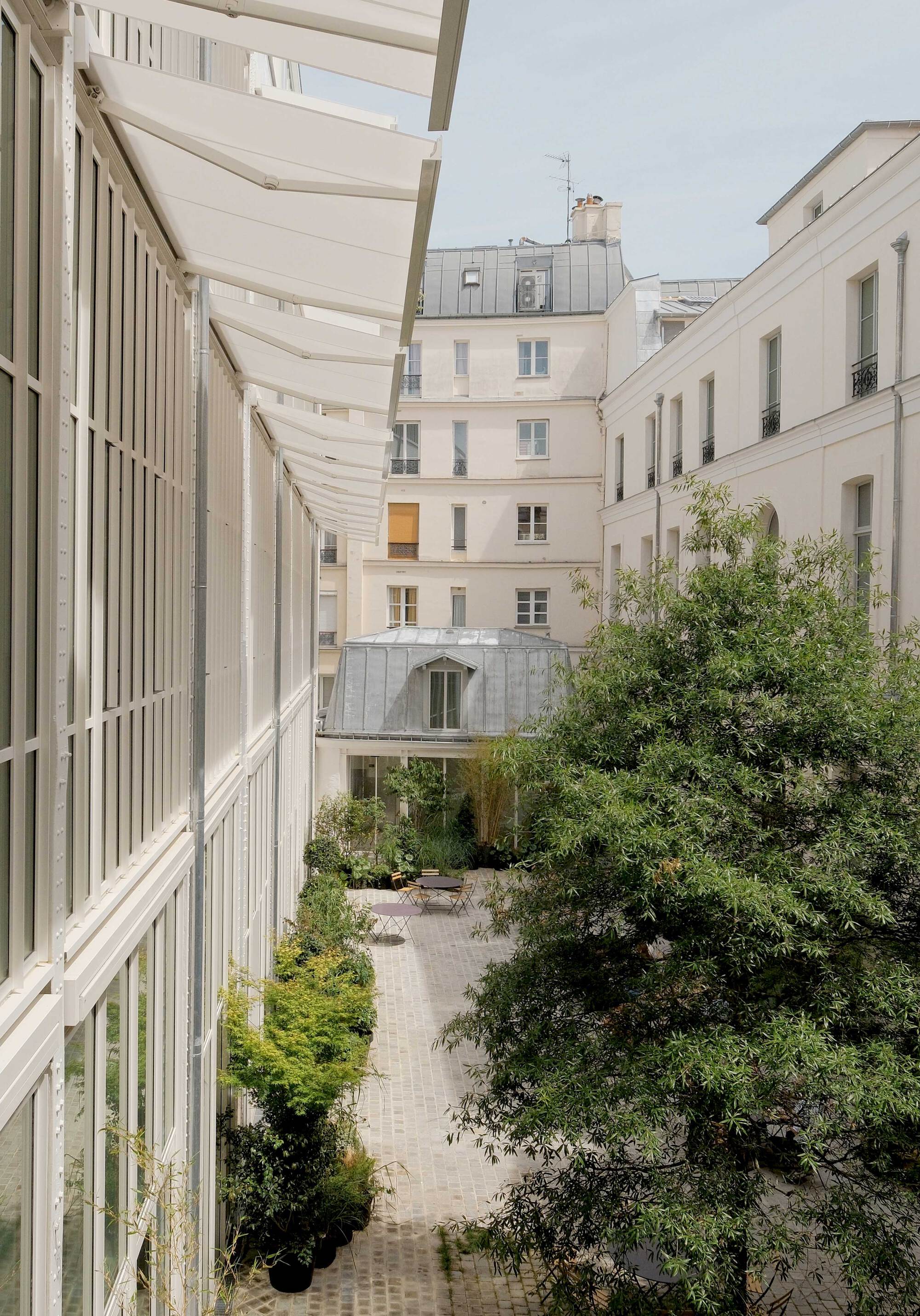 View down into the courtyard from beside the glass facade and white awnings, with a leafy tree in the foreground and a zinc-roofed pavilion beyond