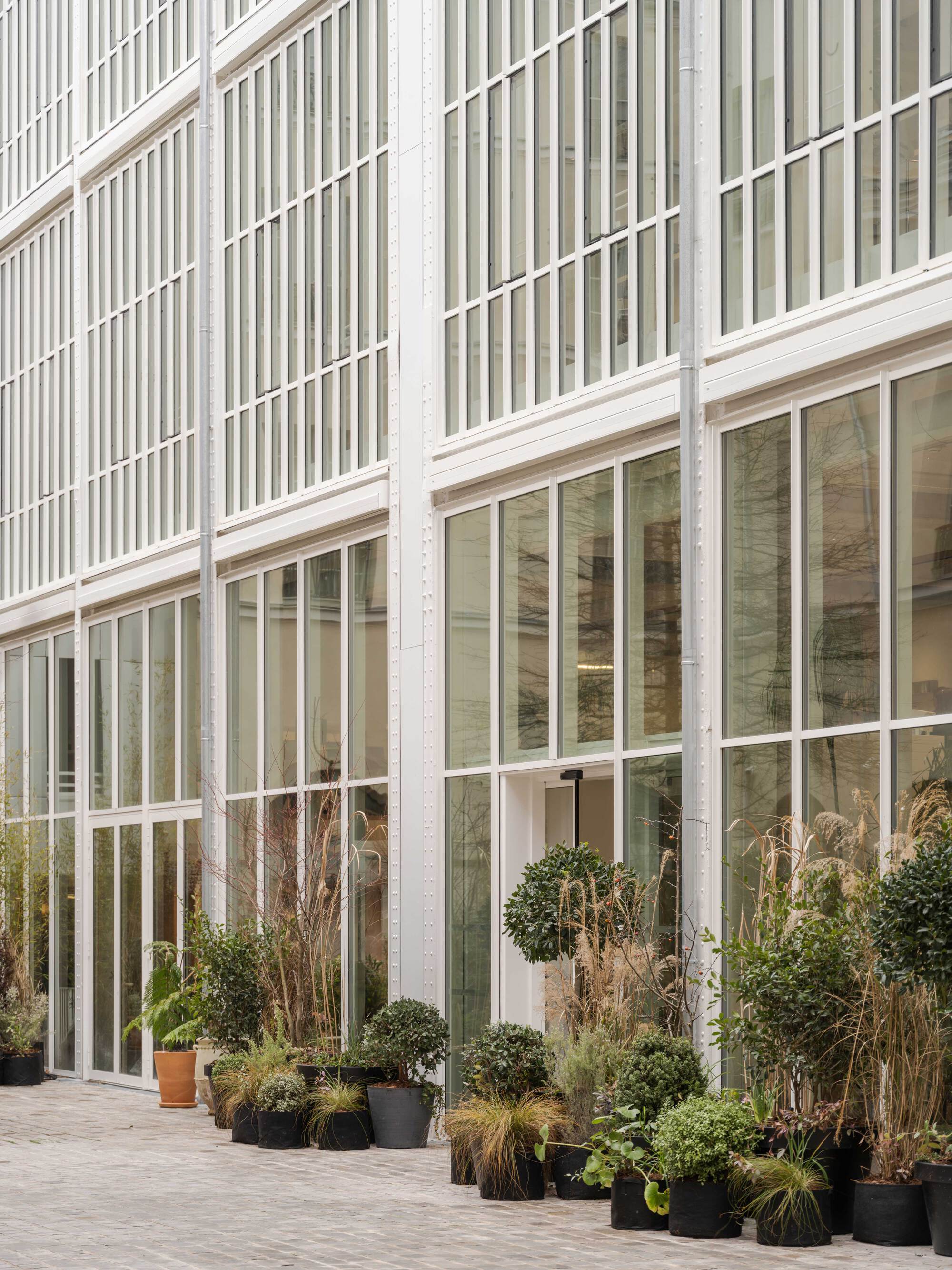 Ground floor of the white steel-framed glazed facade, with potted grasses and clipped shrubs lined along the cobbled courtyard
