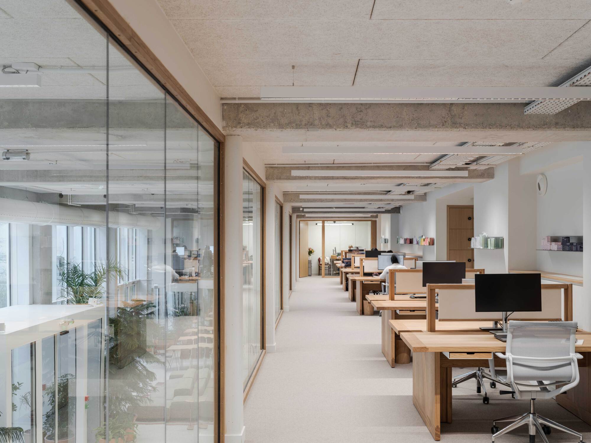 Open office corridor lined with glazed timber-framed partitions and wooden desks, with exposed concrete beams overhead in soft daylight