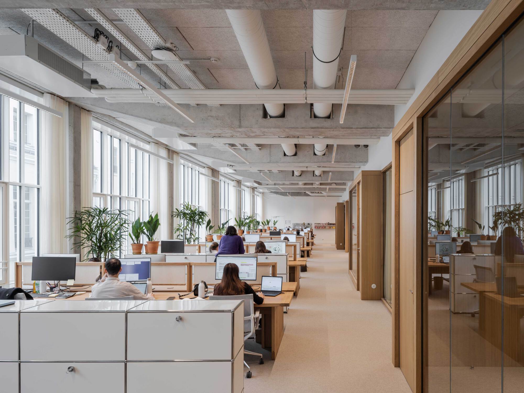 Open-plan workspace with potted palms along tall windows, white storage units and exposed ducts above staff seated at desks