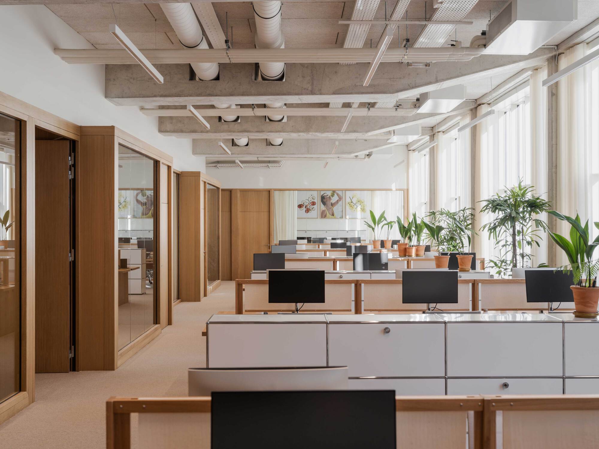 Timber-framed glass meeting rooms beside rows of desks and terracotta-potted plants under exposed concrete beams and round ducts