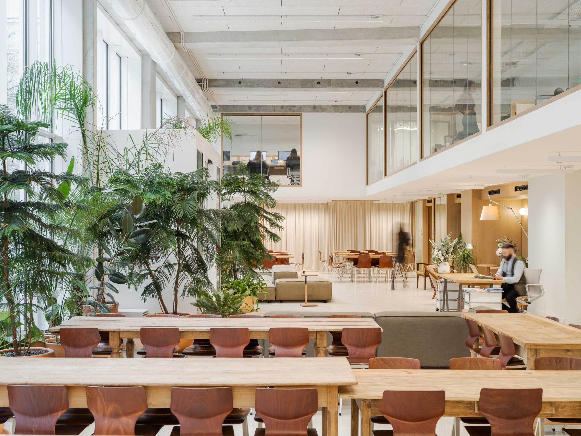 Double-height commons with long wooden tables, brown chairs and tall indoor palms, a blurred figure walking past a curtain wall