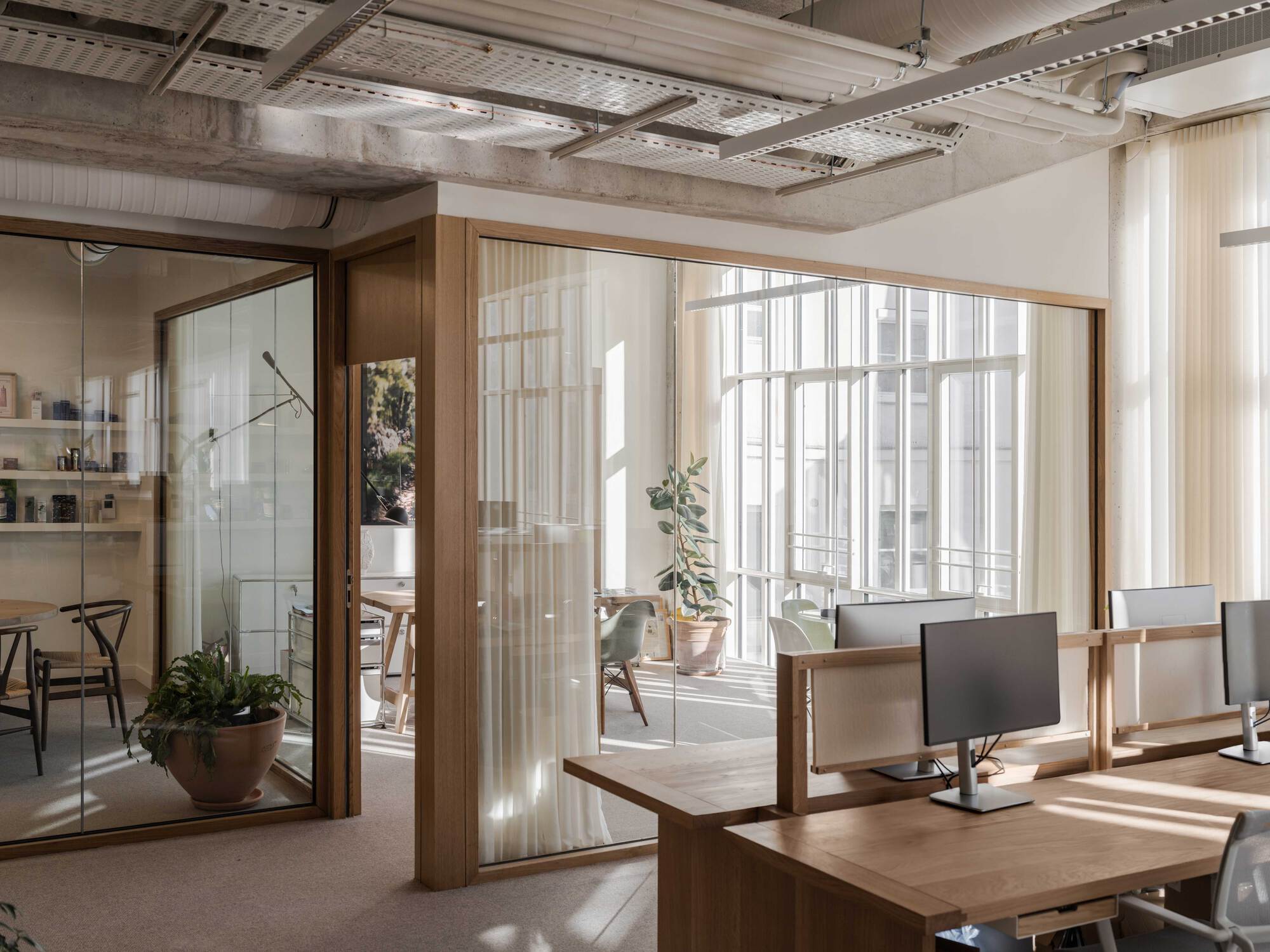 Open office with oak-framed glass meeting rooms, exposed concrete ceiling and sheer curtains filtering afternoon light