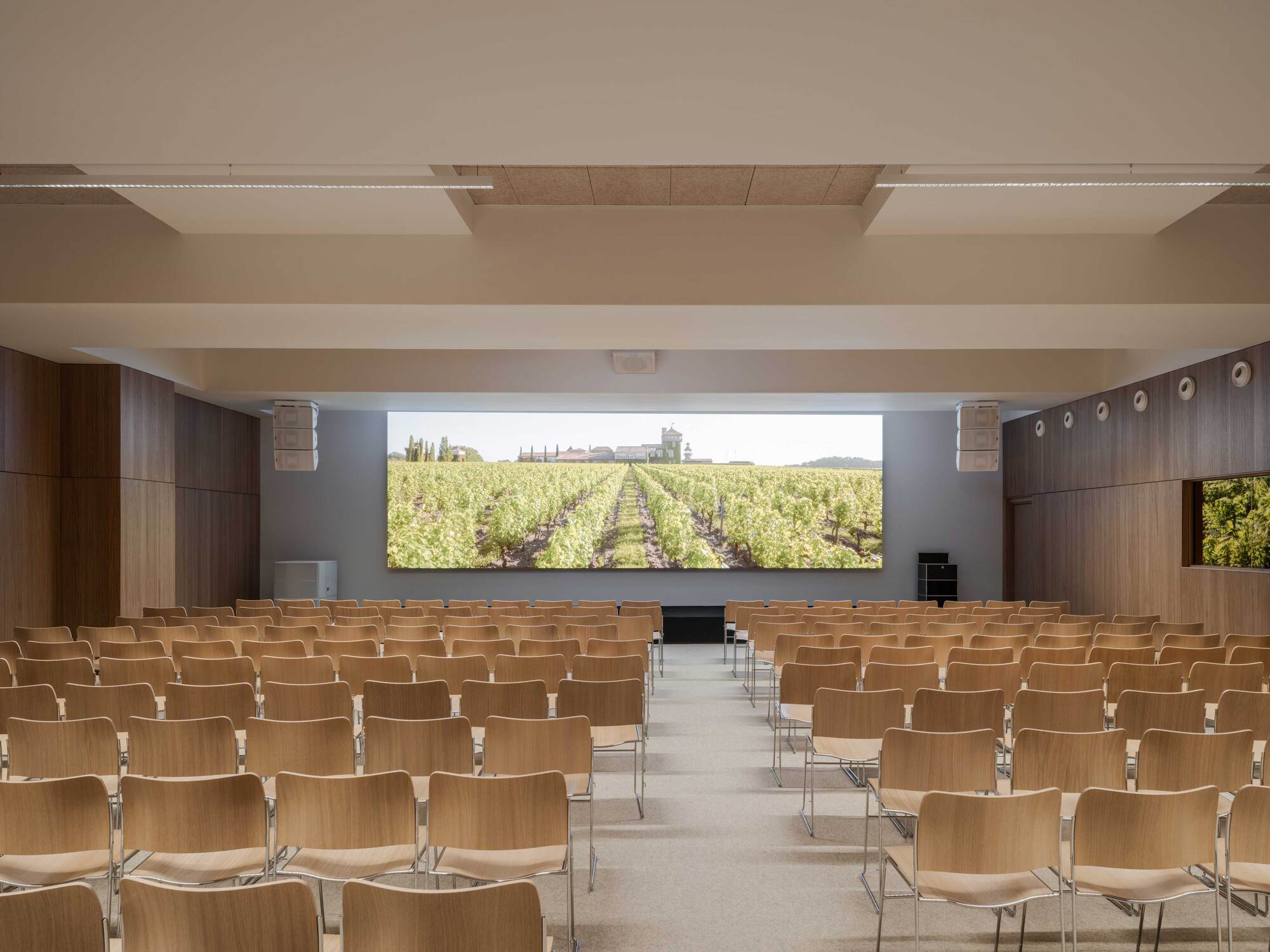 Auditorium with rows of oak chairs facing a wide screen showing a vineyard, walls clad in dark timber panels
