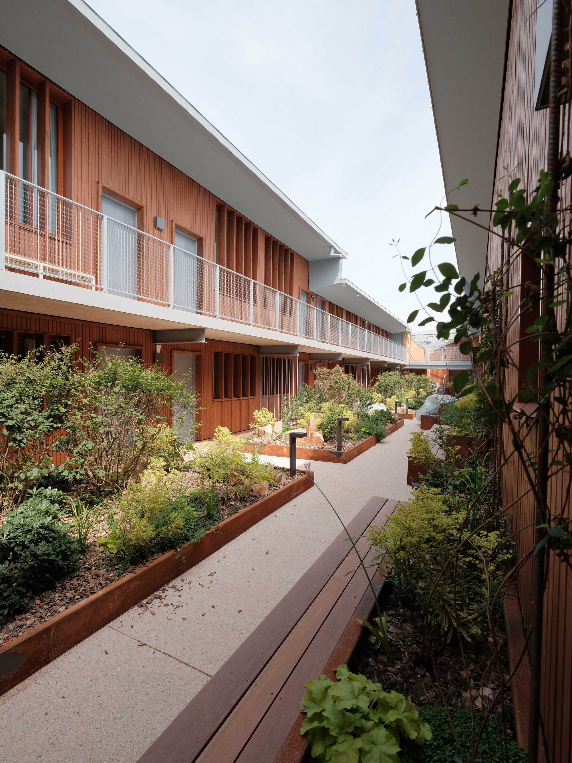 Courtyard path with a timber bench, steel-edged planting beds and two-storey timber-clad housing with balconies under a pale sky