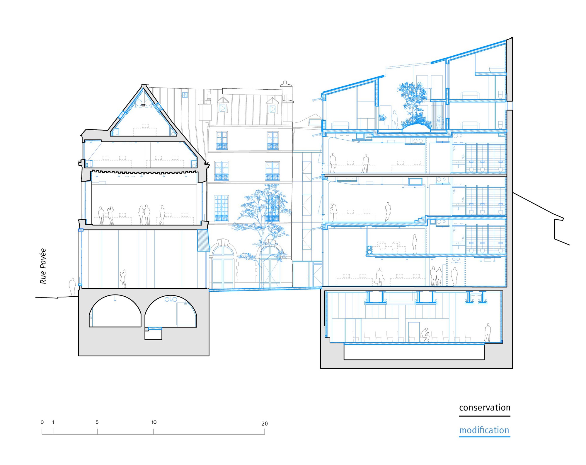 Section drawing with conservation in black and modification in blue, showing vaulted cellars, stacked floors and a planted roof terrace