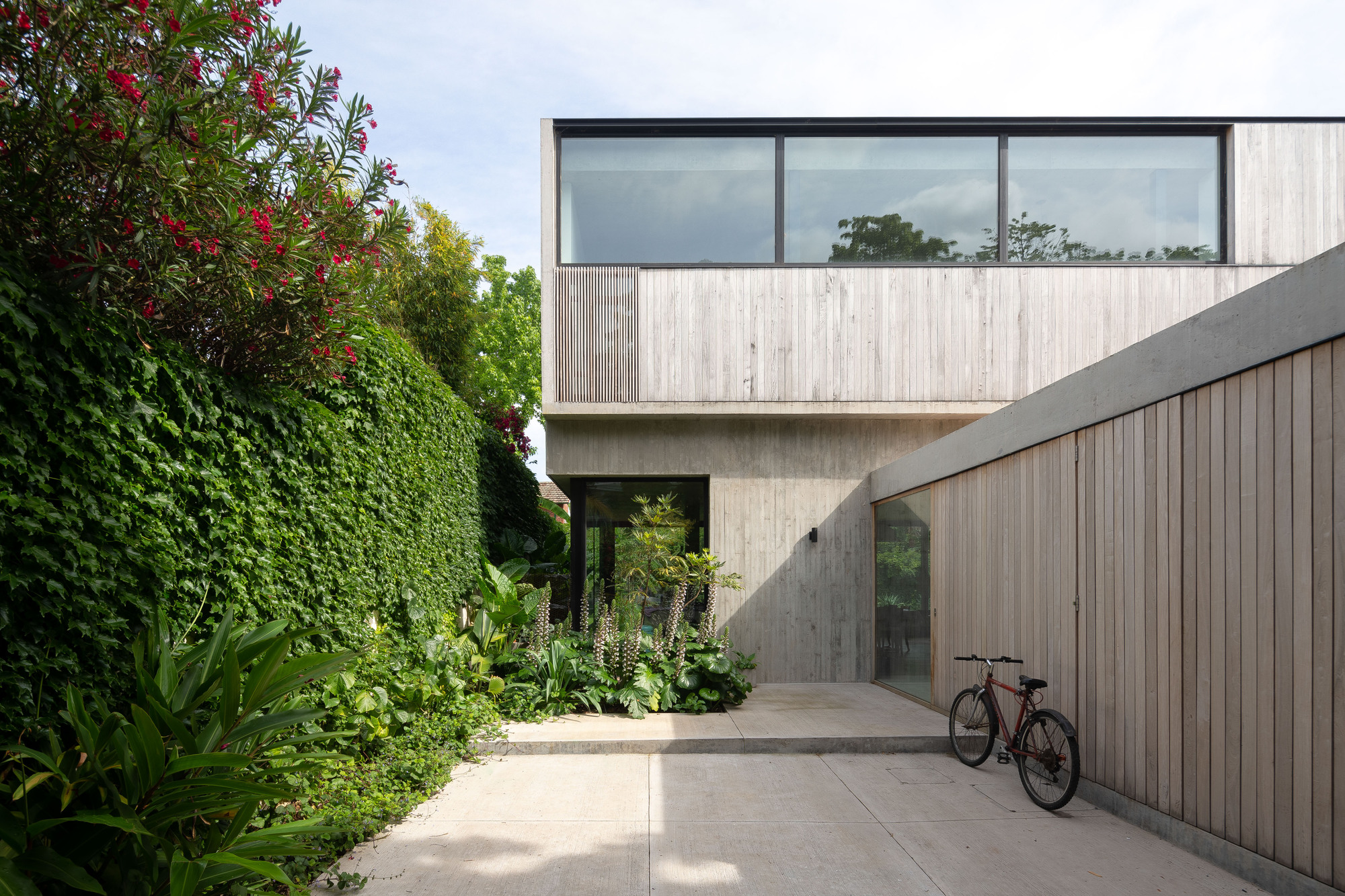 Timber-clad upper volume above a concrete paved entry court, with a bicycle leaning on the wall beside a planted bed and ivy hedge