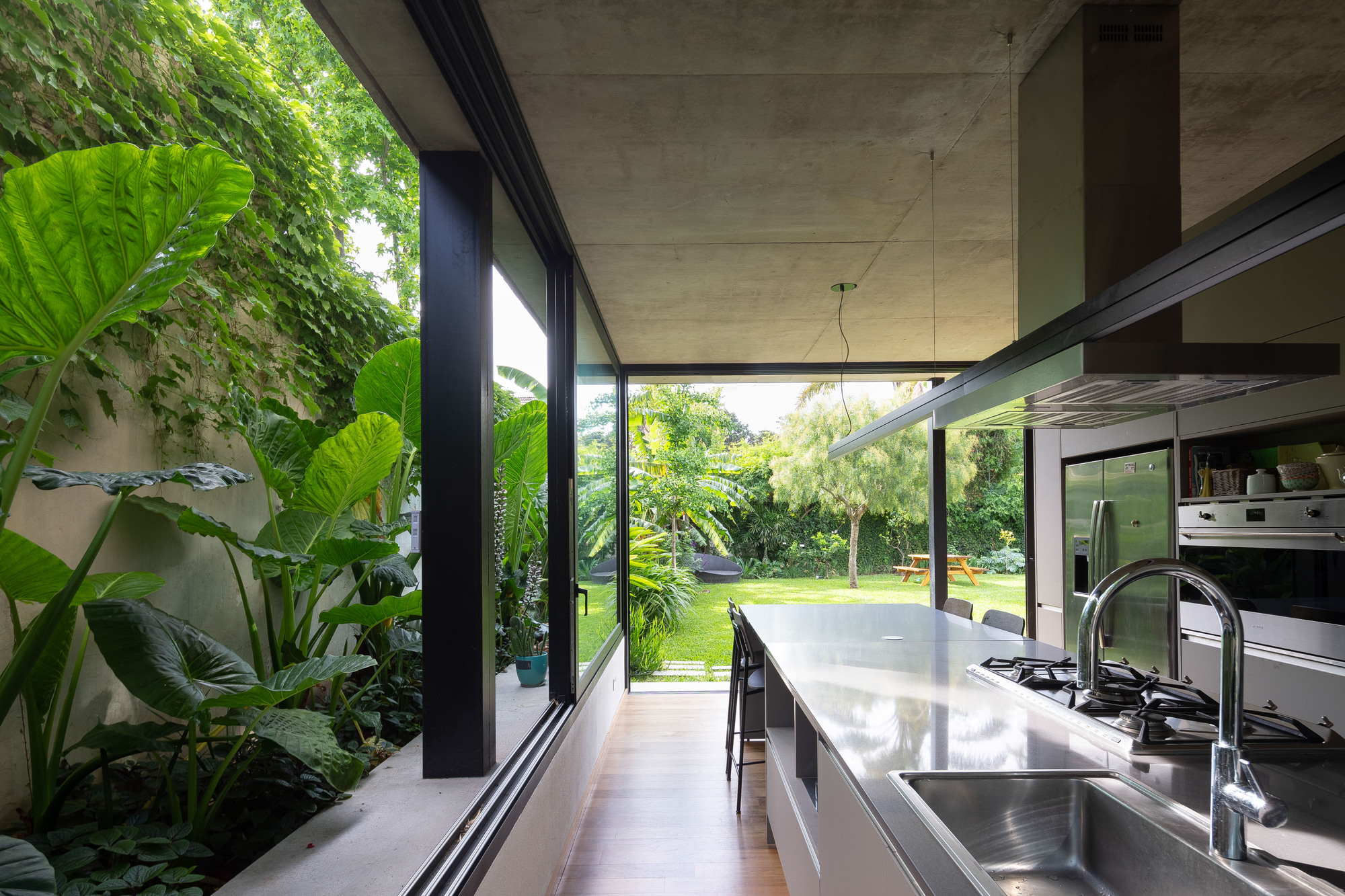 Kitchen with a stainless steel island and sink opening through glass to a planted side bed with large-leaved plants and a lawn beyond