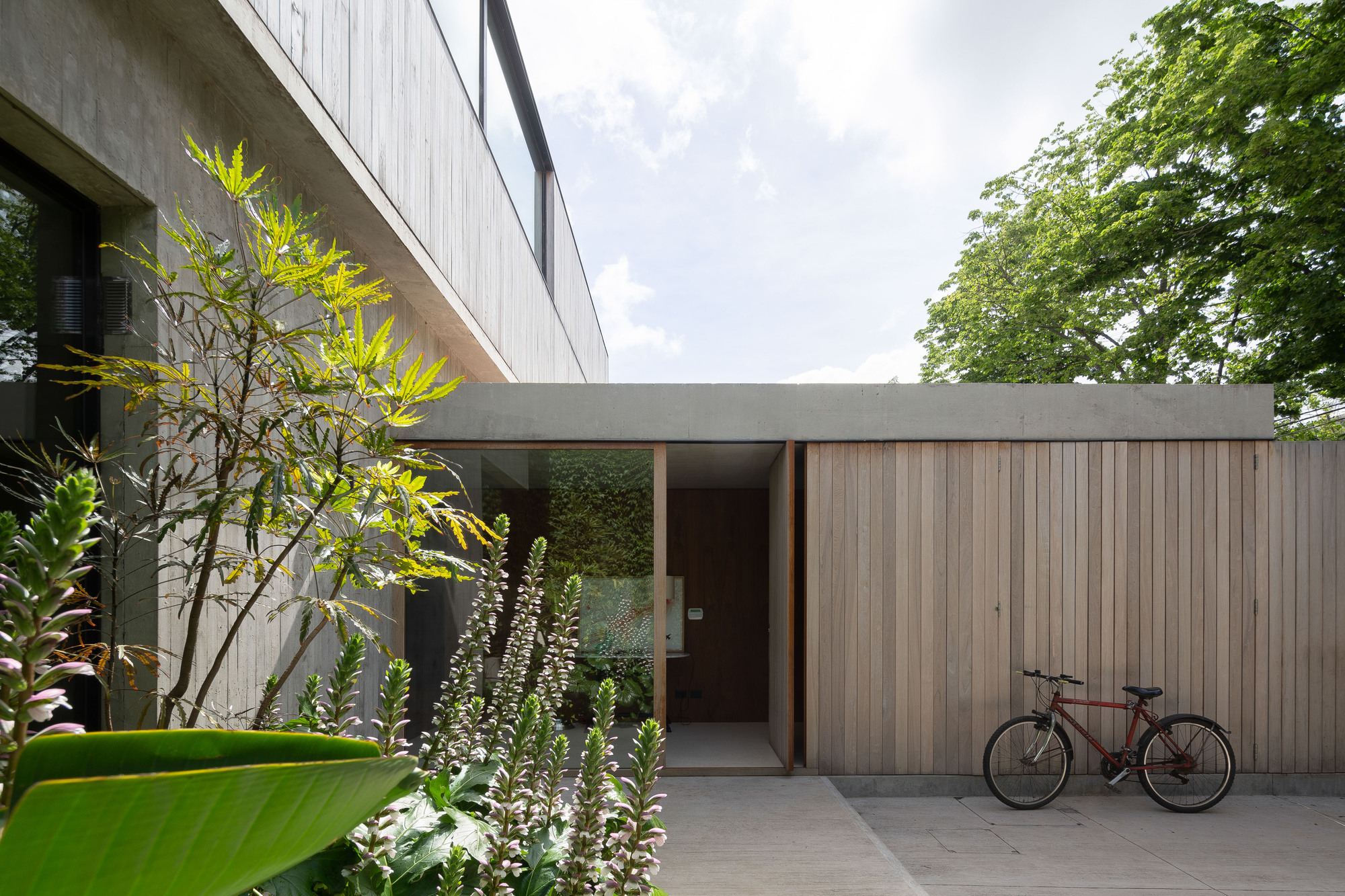 Entrance courtyard with a recessed timber door, flat concrete canopy and a red bicycle leaning on the wall beneath leafy trees