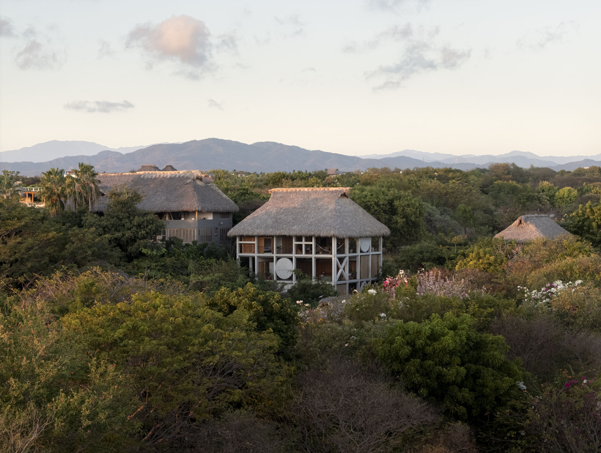 Thatched houses on a hillside among flowering shrubs and trees, with distant mountains under a pale dusk sky