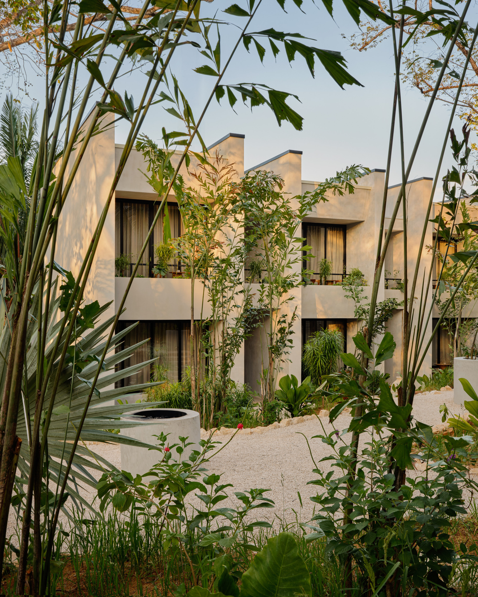 Stepped plaster guest block with balconies and dark curtains, seen through bamboo and palms over a gravel path at dusk