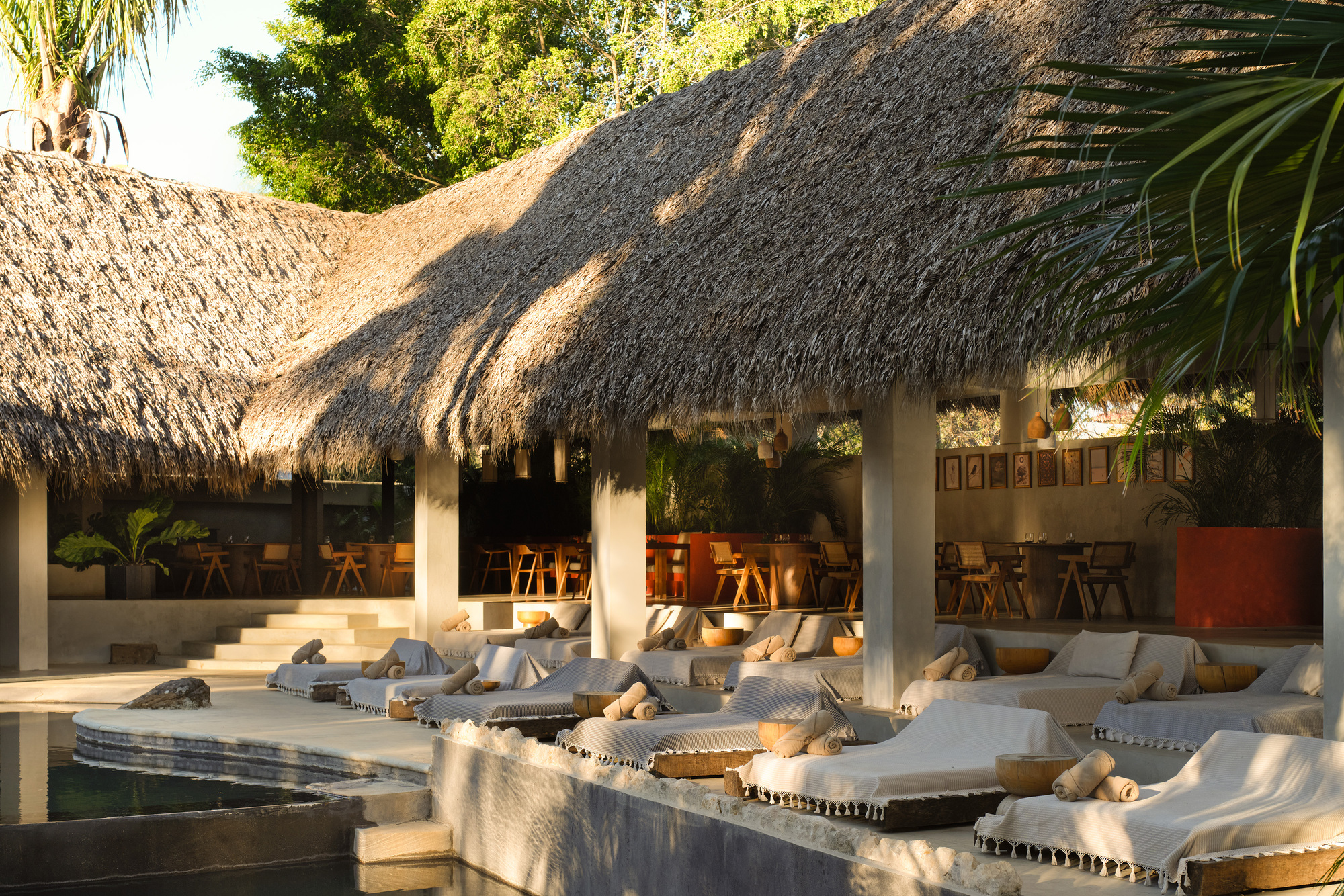 Row of daybeds with rolled towels under palm-thatched roofs beside a curved pool edge, with dappled late sun across the thatch
