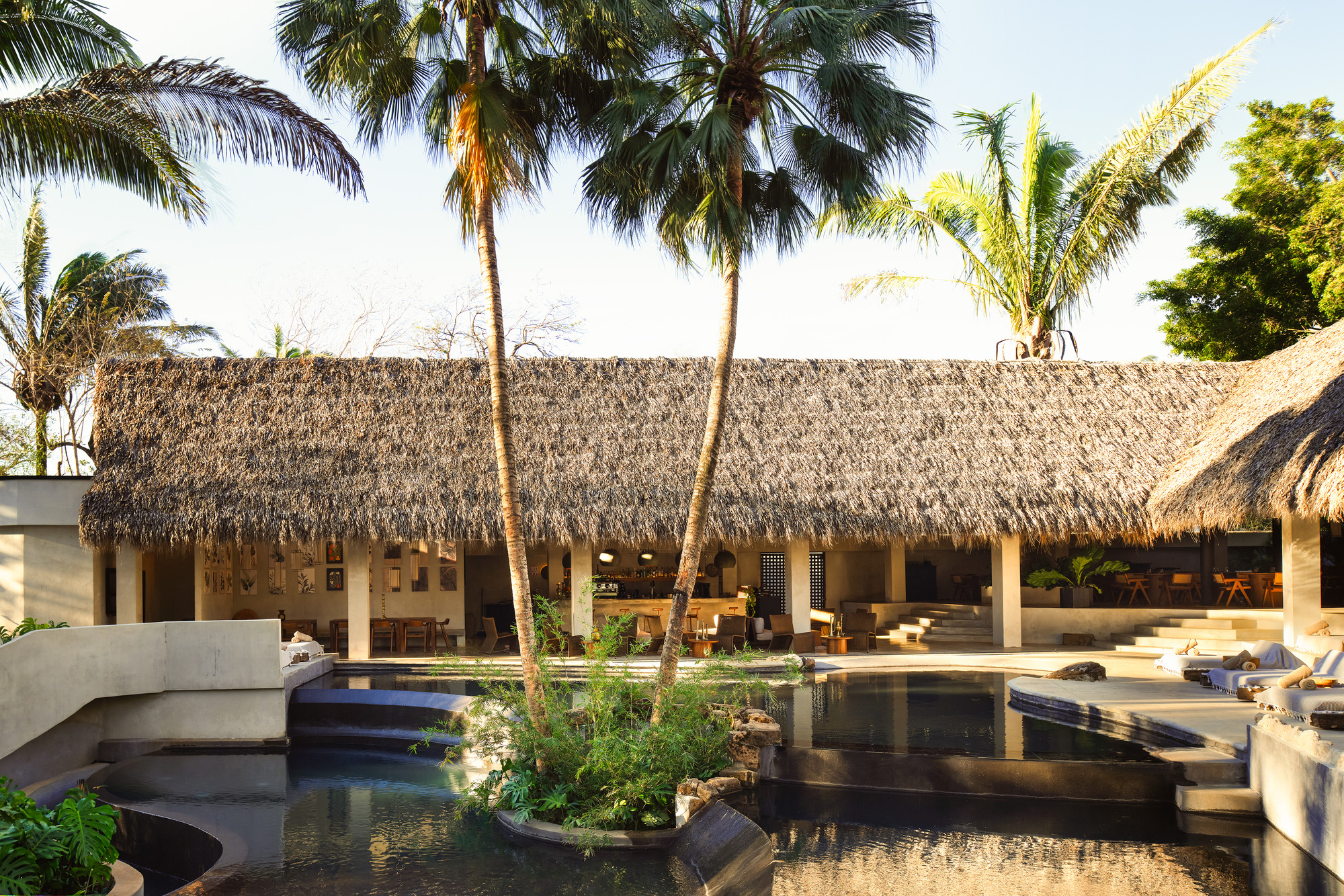 Thatched pavilion seen across a pool, with two leaning palms in a planter and low golden light on the roof