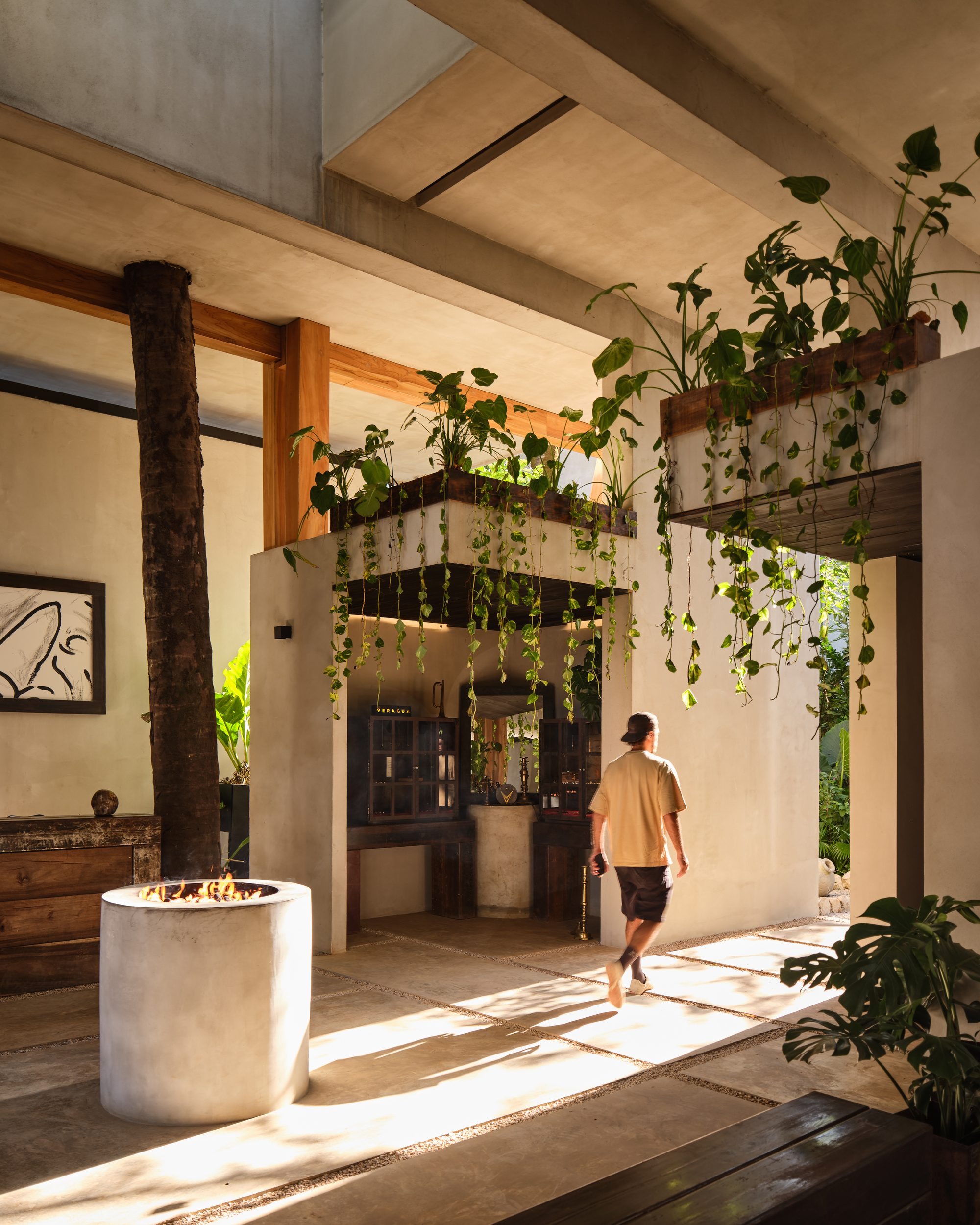 Courtyard passage with a concrete fire pit, a tree trunk and hanging planters, with a man walking through raking sunlight