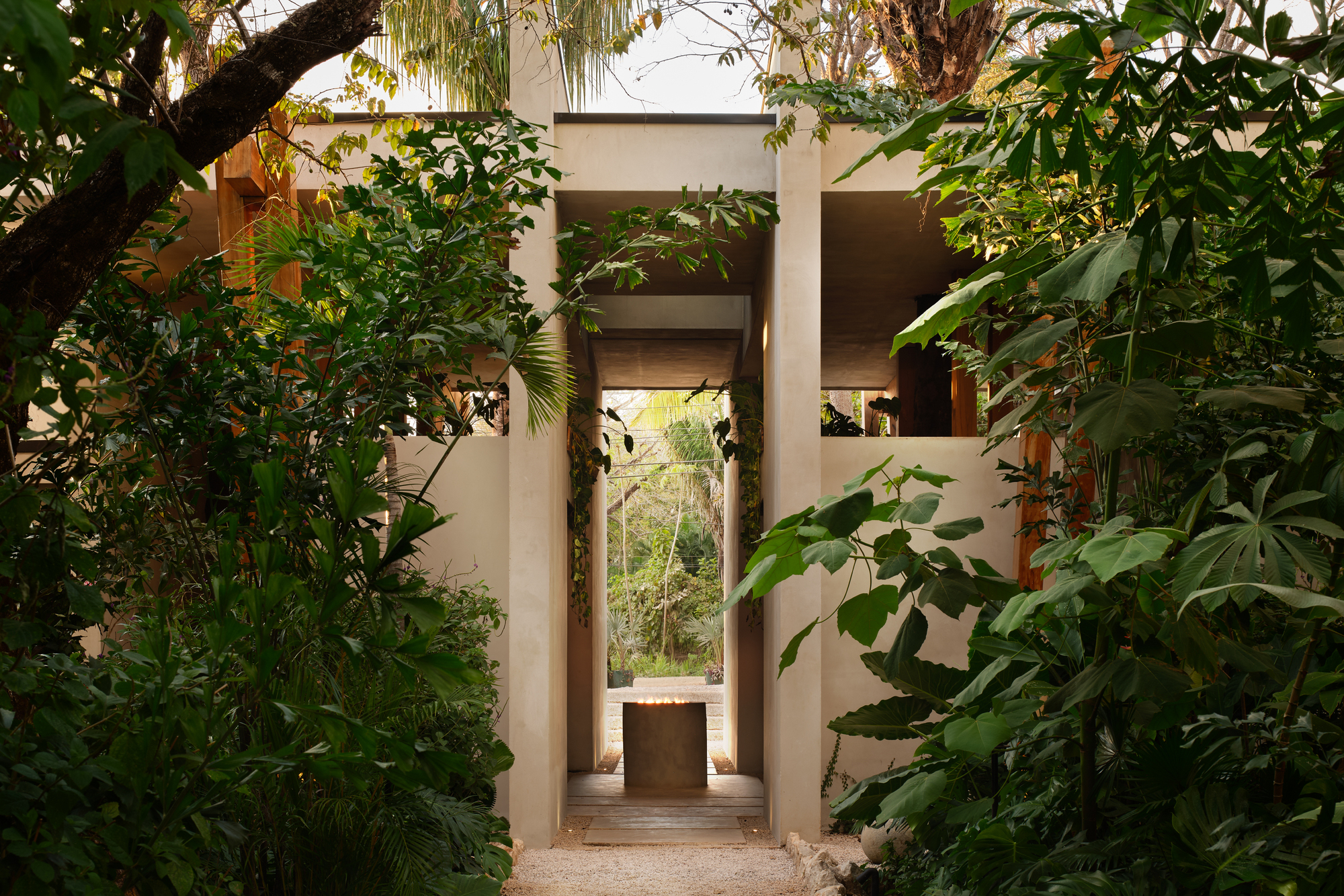 View through concrete portal frames and a timber-floored entry toward a square block, framed by dense tropical foliage