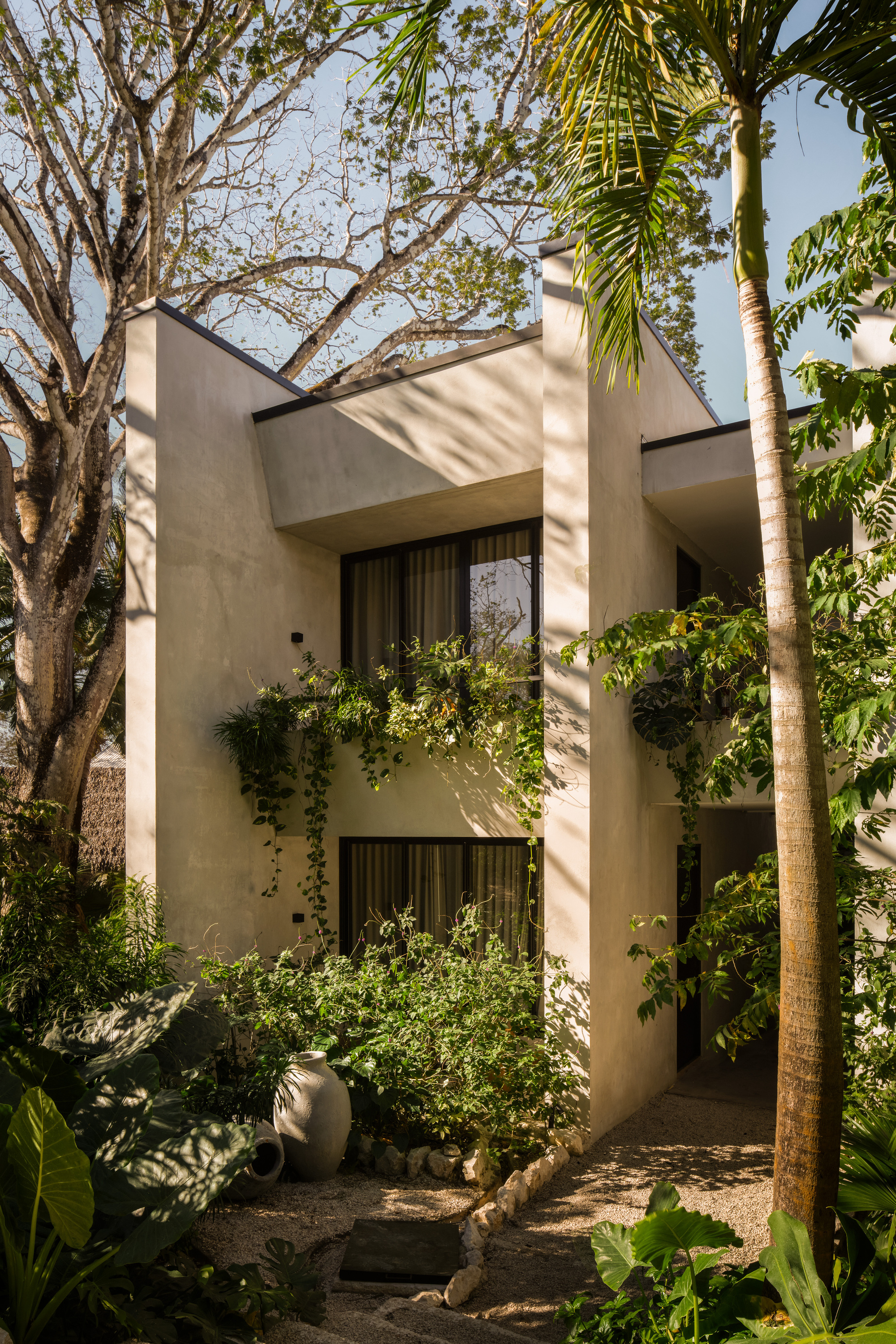 Stucco facade with deep window recesses and cascading vines, a clay jar in the garden and a palm trunk in sunlight