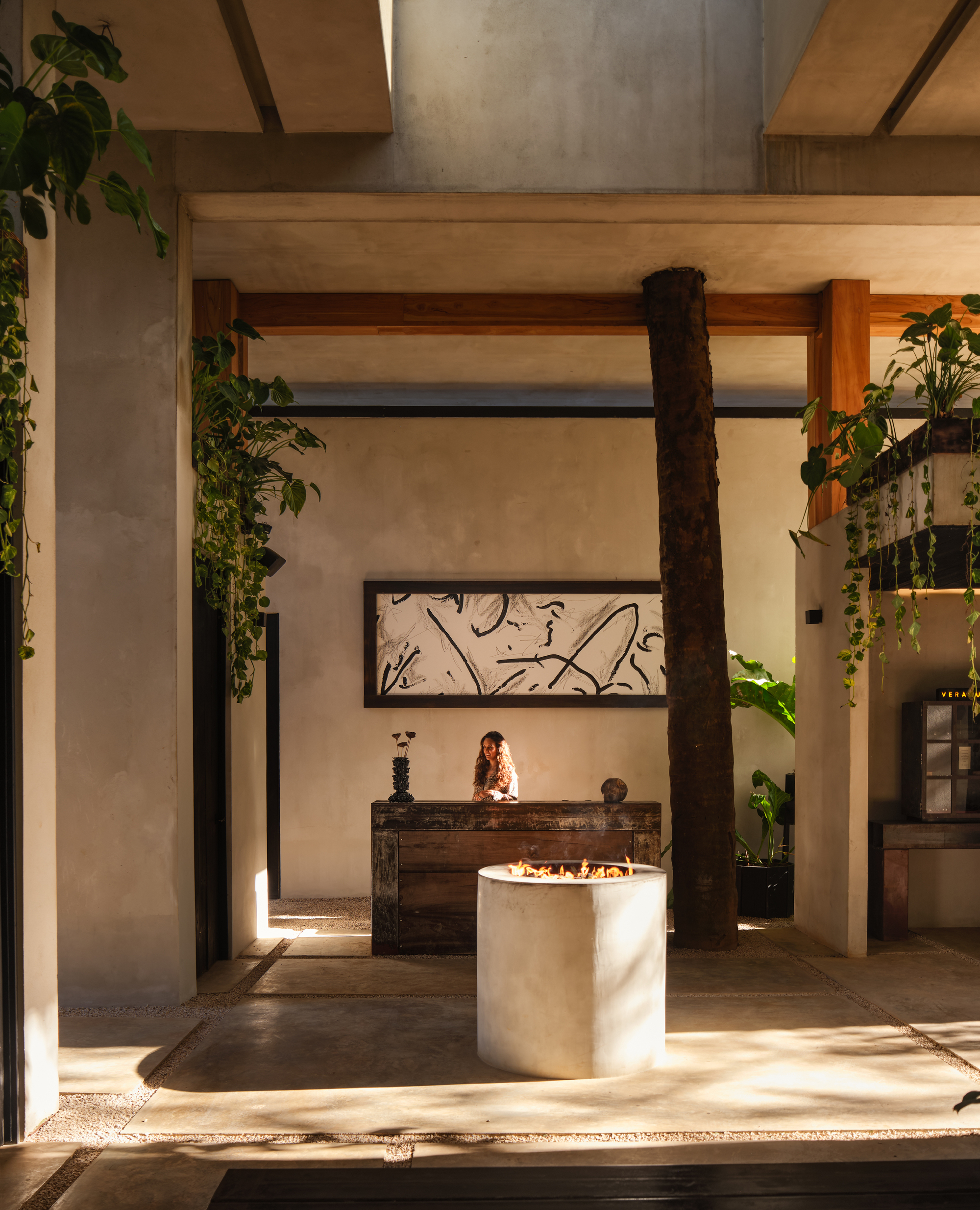 Reception area with a concrete fire pit in front of a wooden desk, a tree trunk column and hanging vines in dappled sunlight