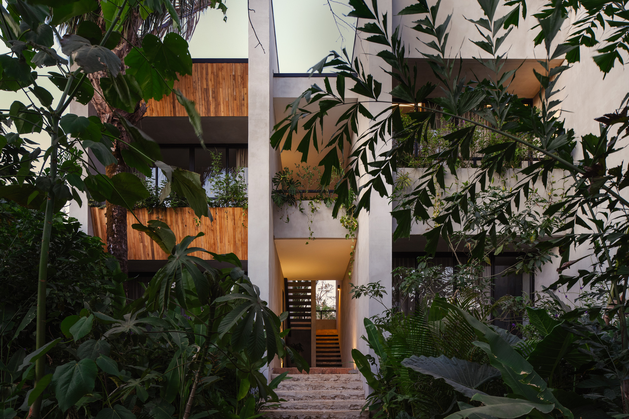 Stepped stone path rising between tropical leaves to a stacked concrete and timber facade glowing at dusk