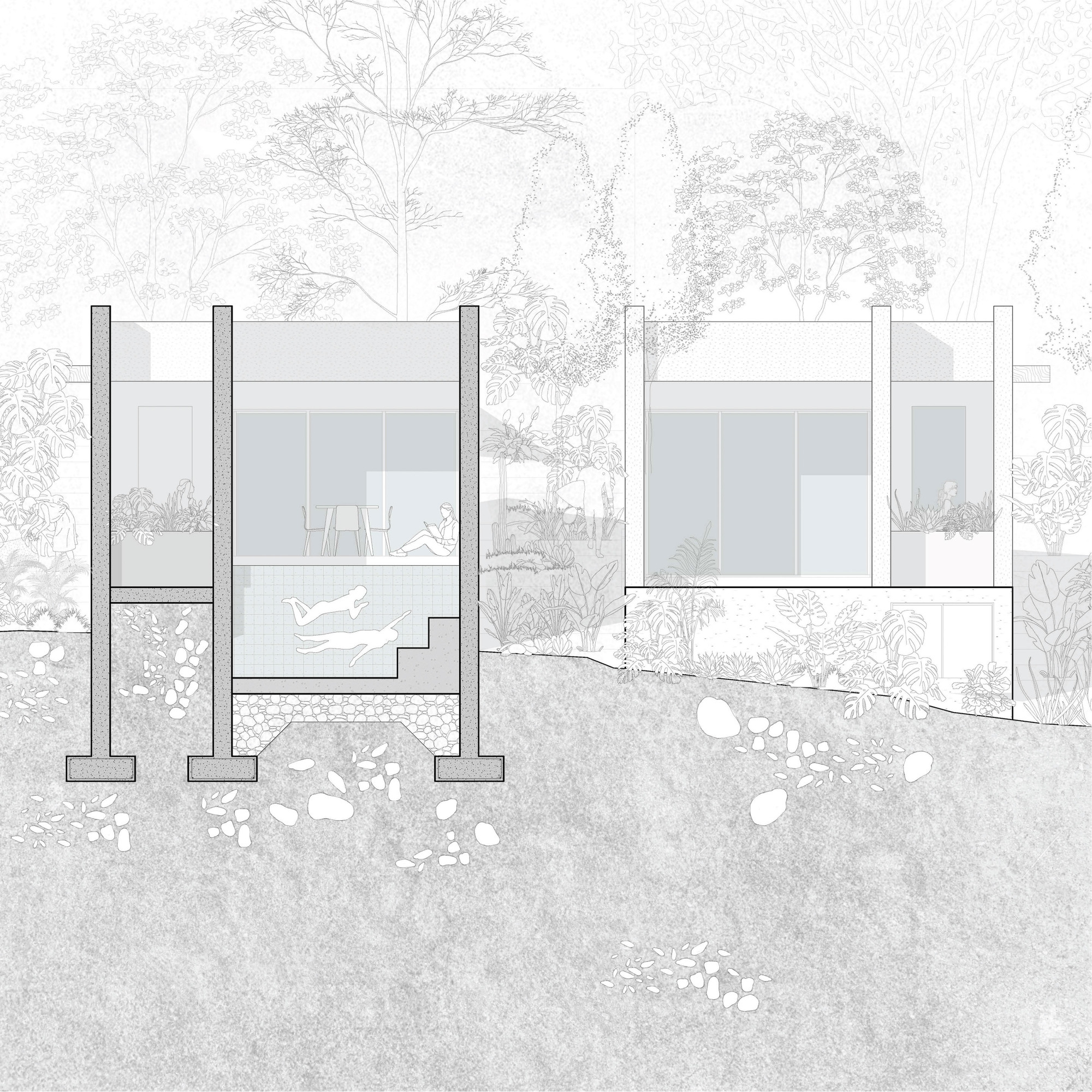 Section drawing through two guest suites on concrete columns, with a plunge pool, swimmers and a reader, set among tropical foliage