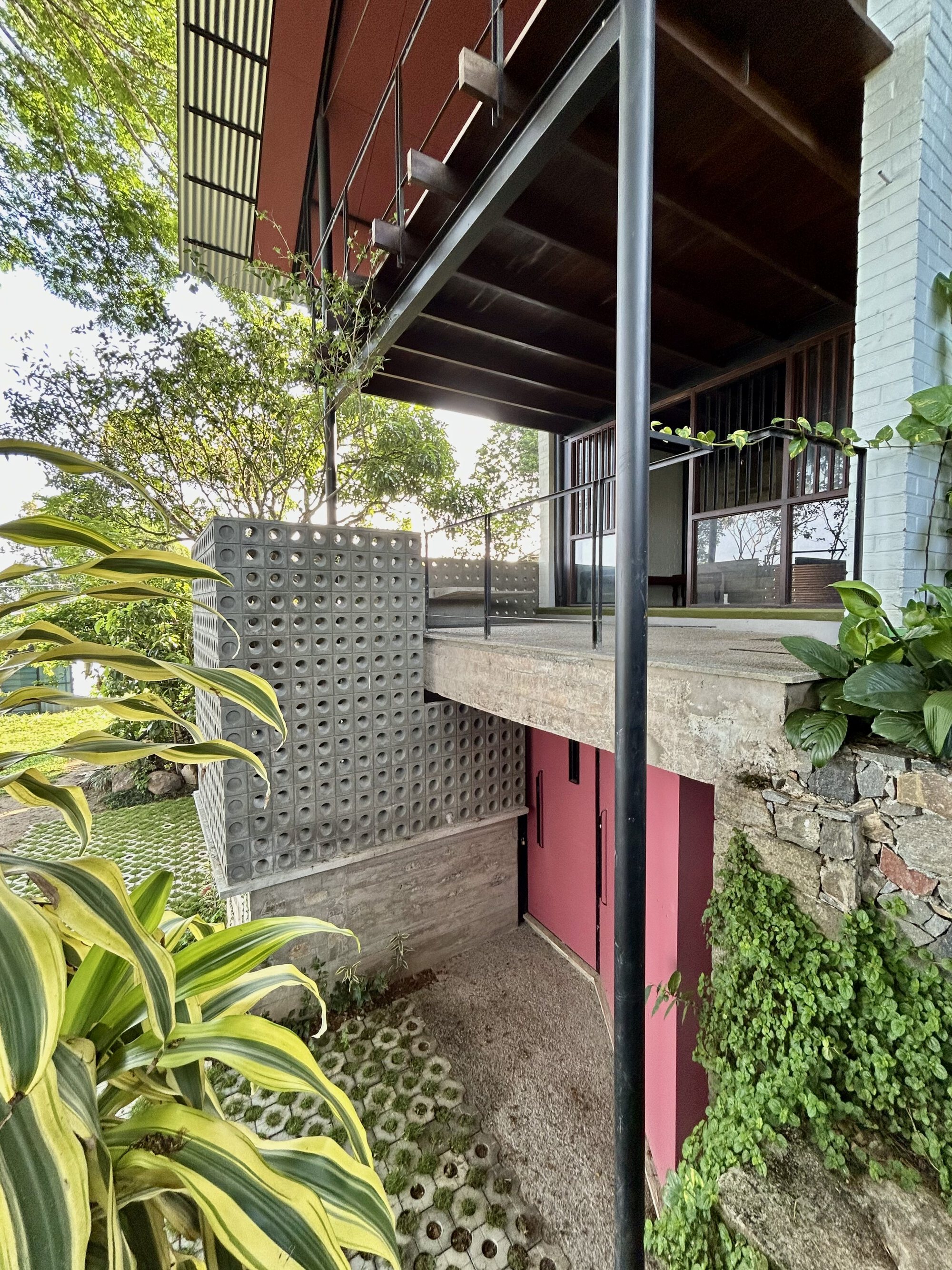 Underside of the cantilevered timber deck above a pink door and perforated block screen, with variegated leaves in the foreground