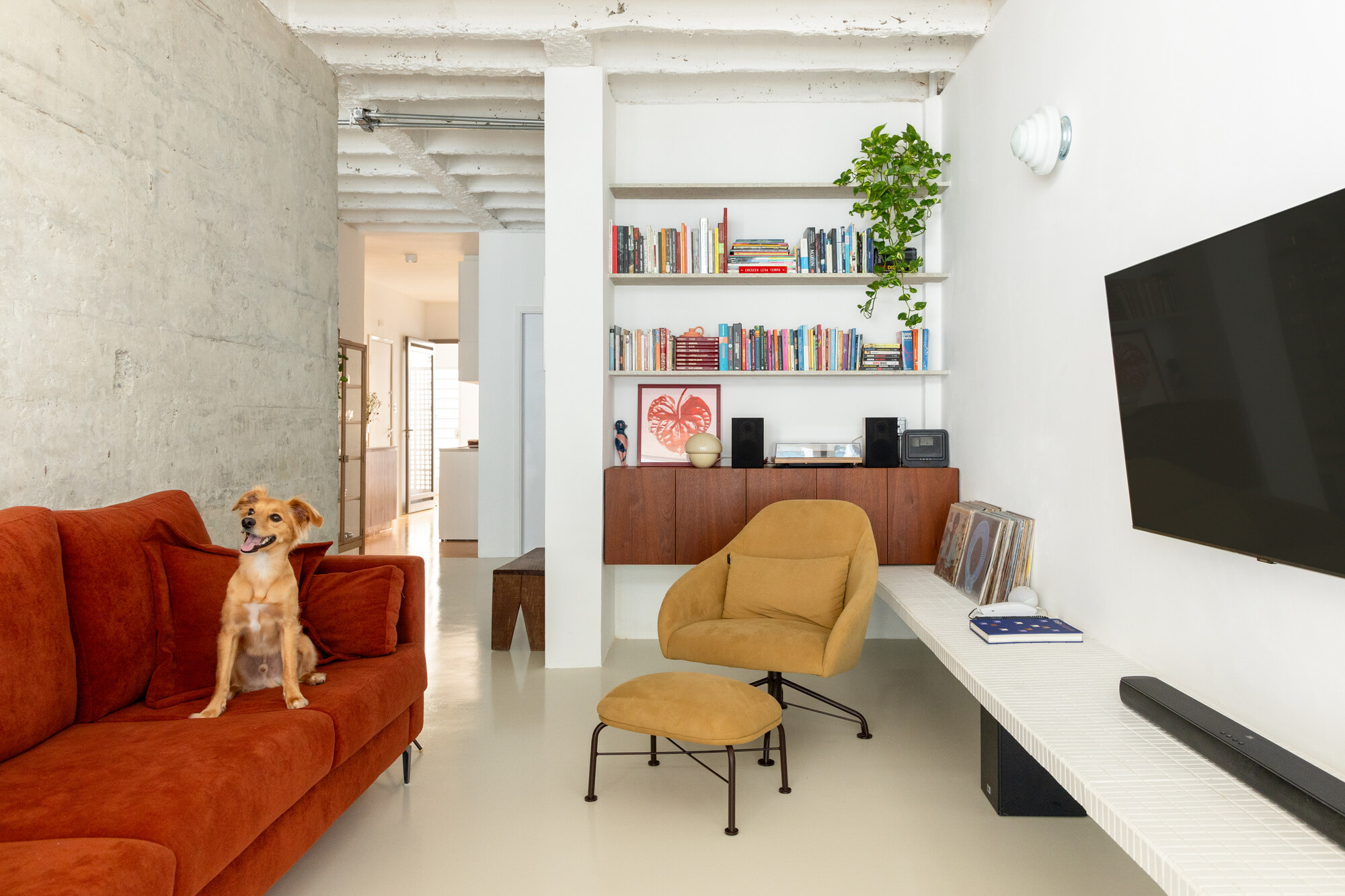 Living room with a rust velvet sofa, mustard armchair and walnut shelving unit, with a dog seated on the sofa in daylight