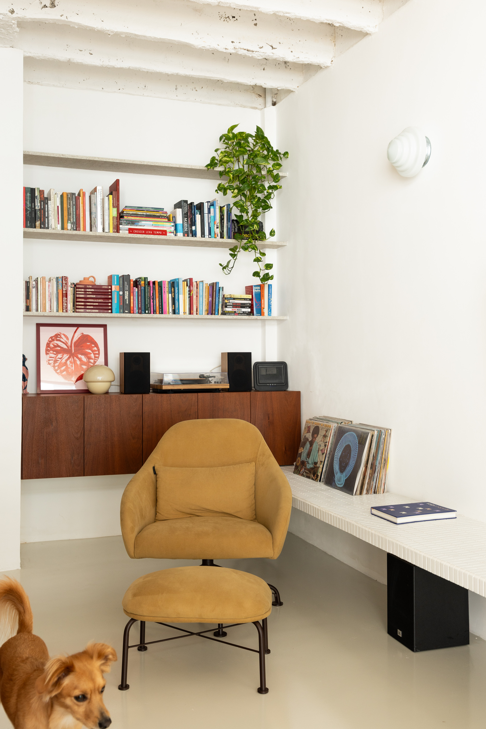 Corner reading nook with a mustard armchair, trailing pothos on the shelves and vinyl records on a white tiled bench, a dog in the foreground