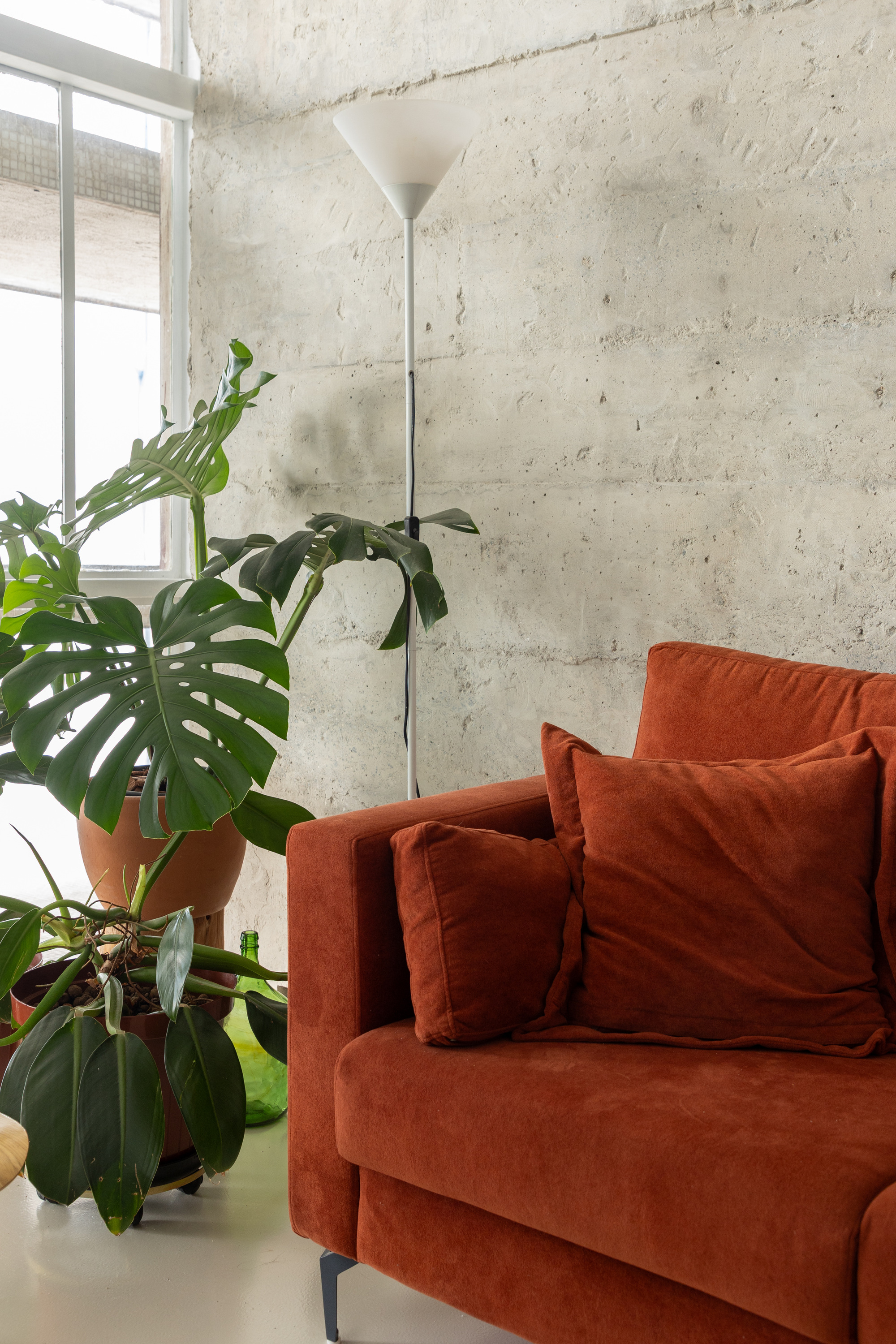 Rust velvet sofa beside a floor lamp and potted monstera against board-marked concrete, with daylight from a tall window