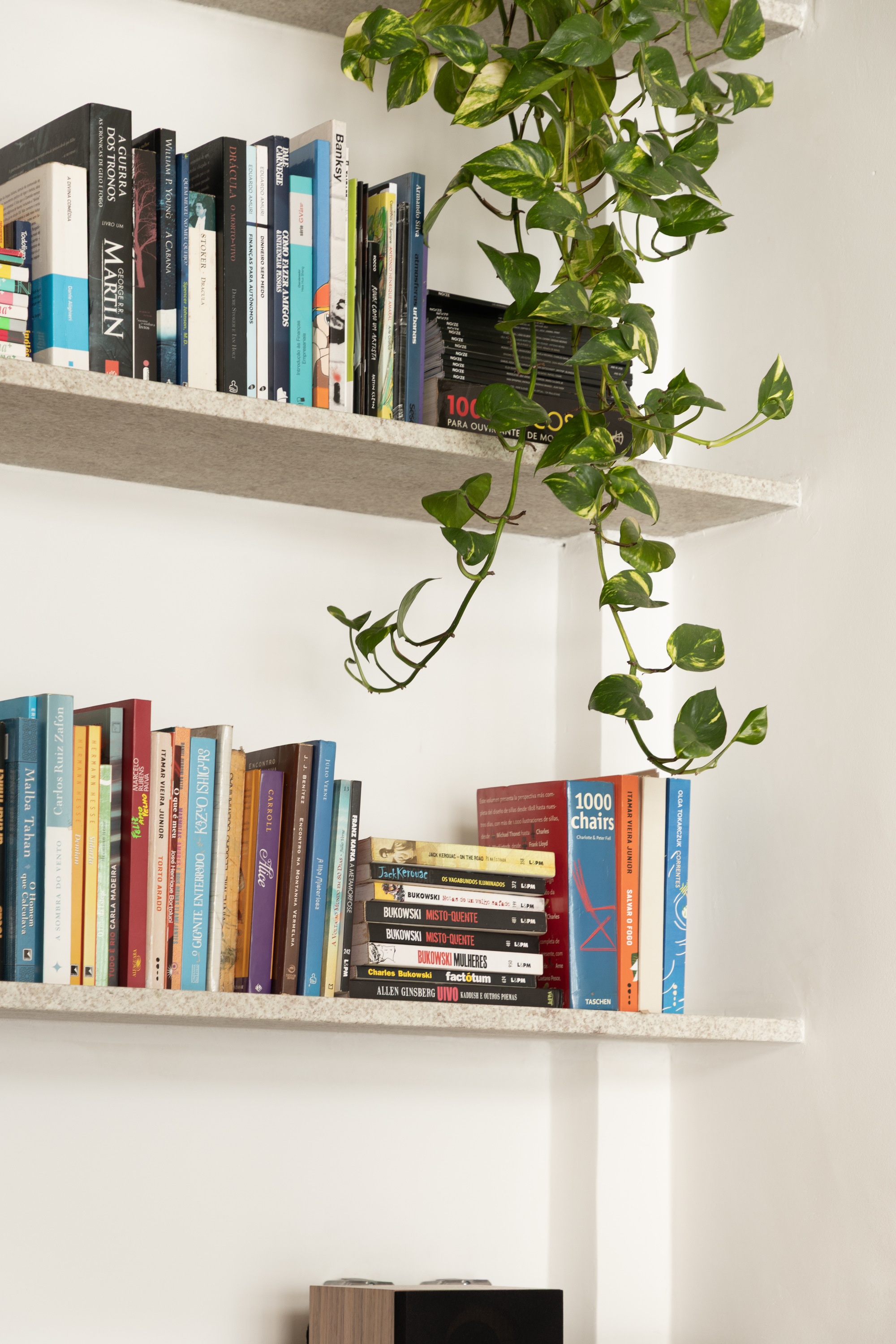 Terrazzo-look shelves packed with books and a trailing pothos vine hanging down the white wall in daylight