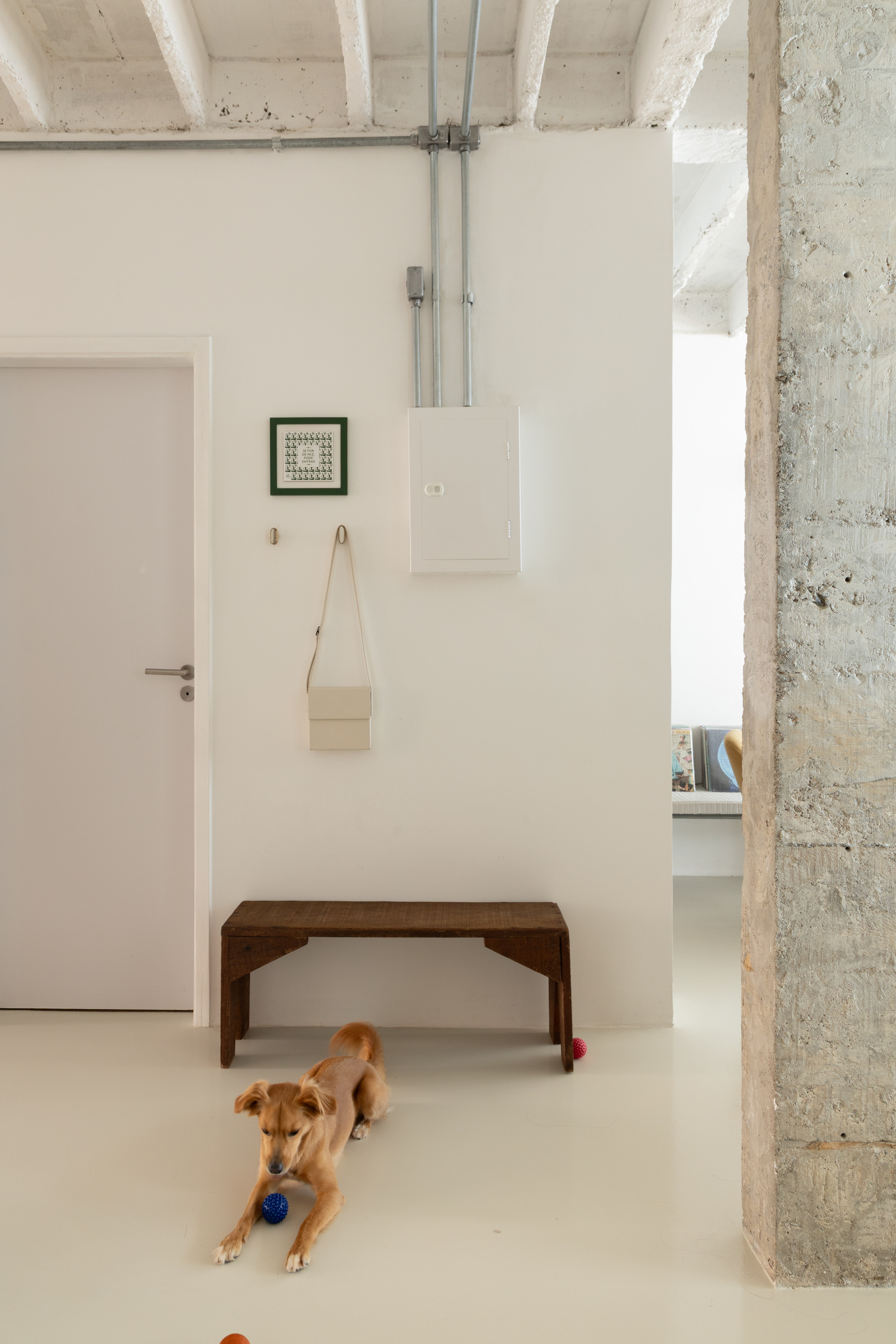 Entry wall with a wooden bench, electrical panel and exposed concrete column, a tan dog lying on the pale floor with a blue ball