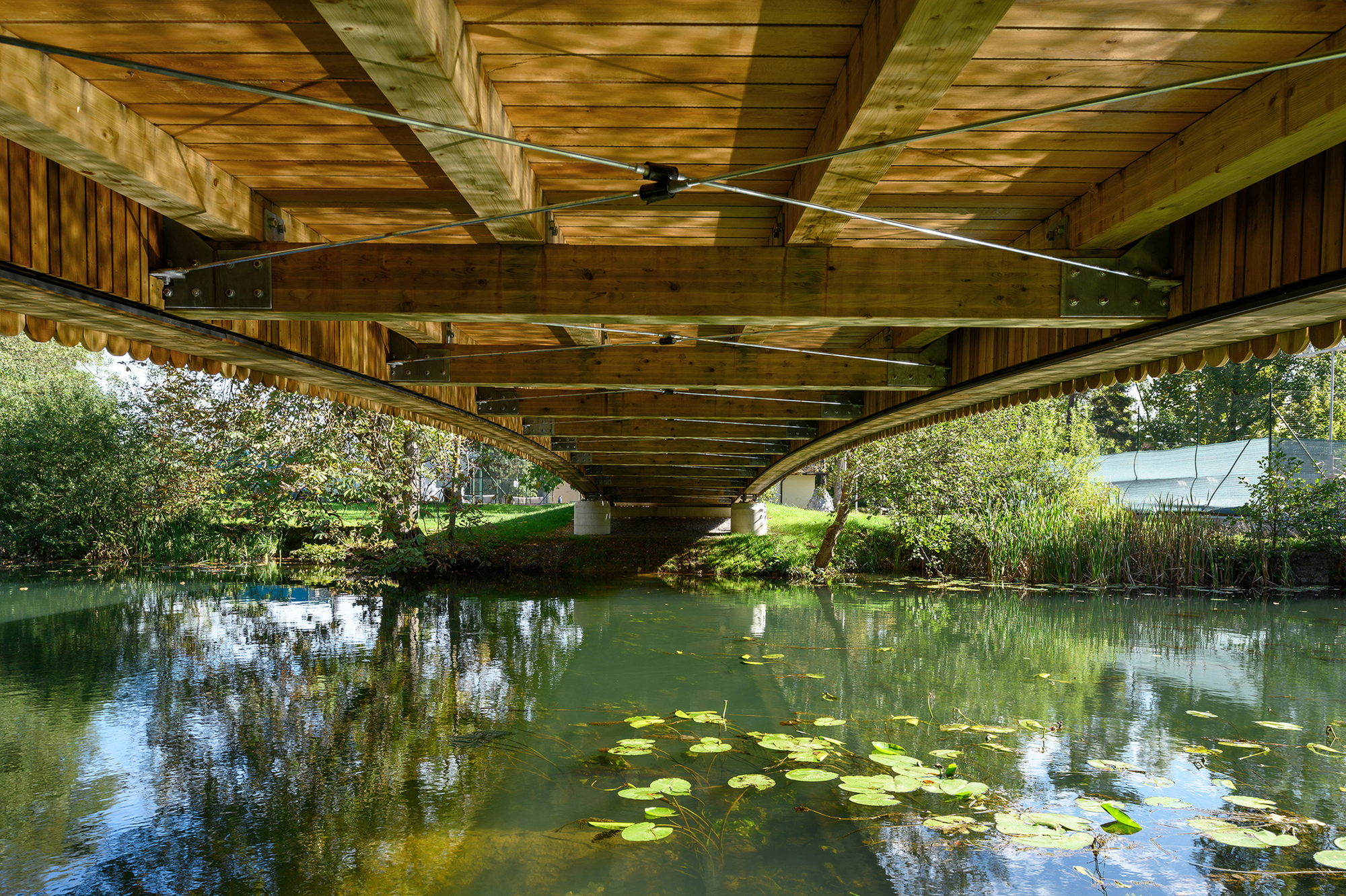 Underside of the bridge showing timber beams, steel tension rods and water lilies floating on the river below