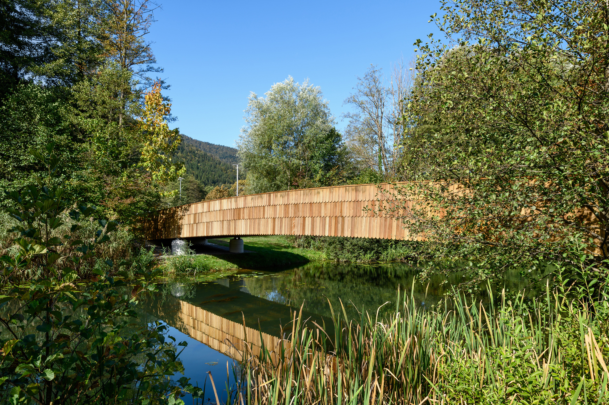 Arched timber footbridge clad in overlapping wooden shingles crossing a still pond, framed by reeds and autumn foliage under clear blue sky
