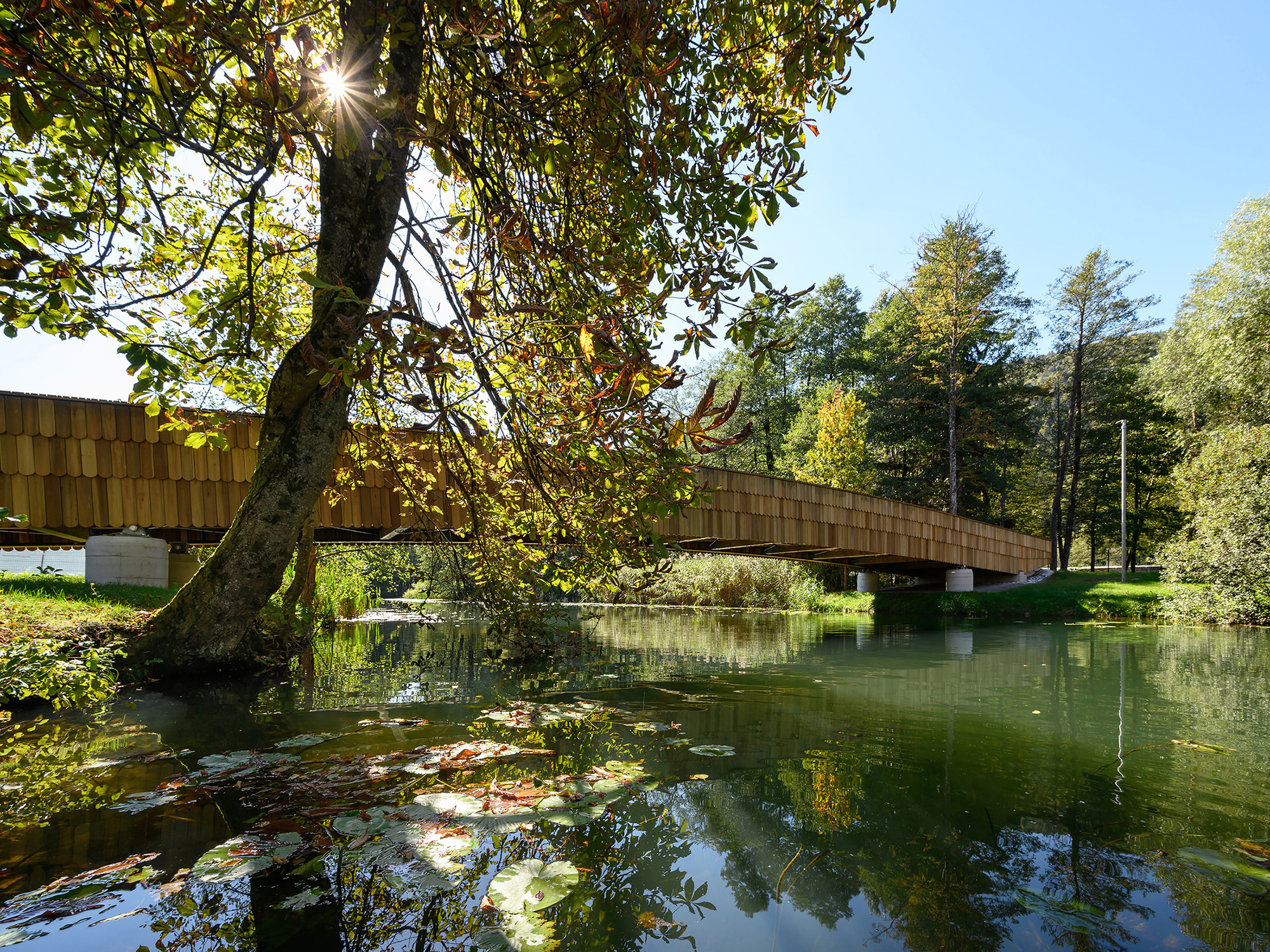 Underside and shingled flank of the timber bridge seen across lily-covered water, with sunlight breaking through a leaning tree