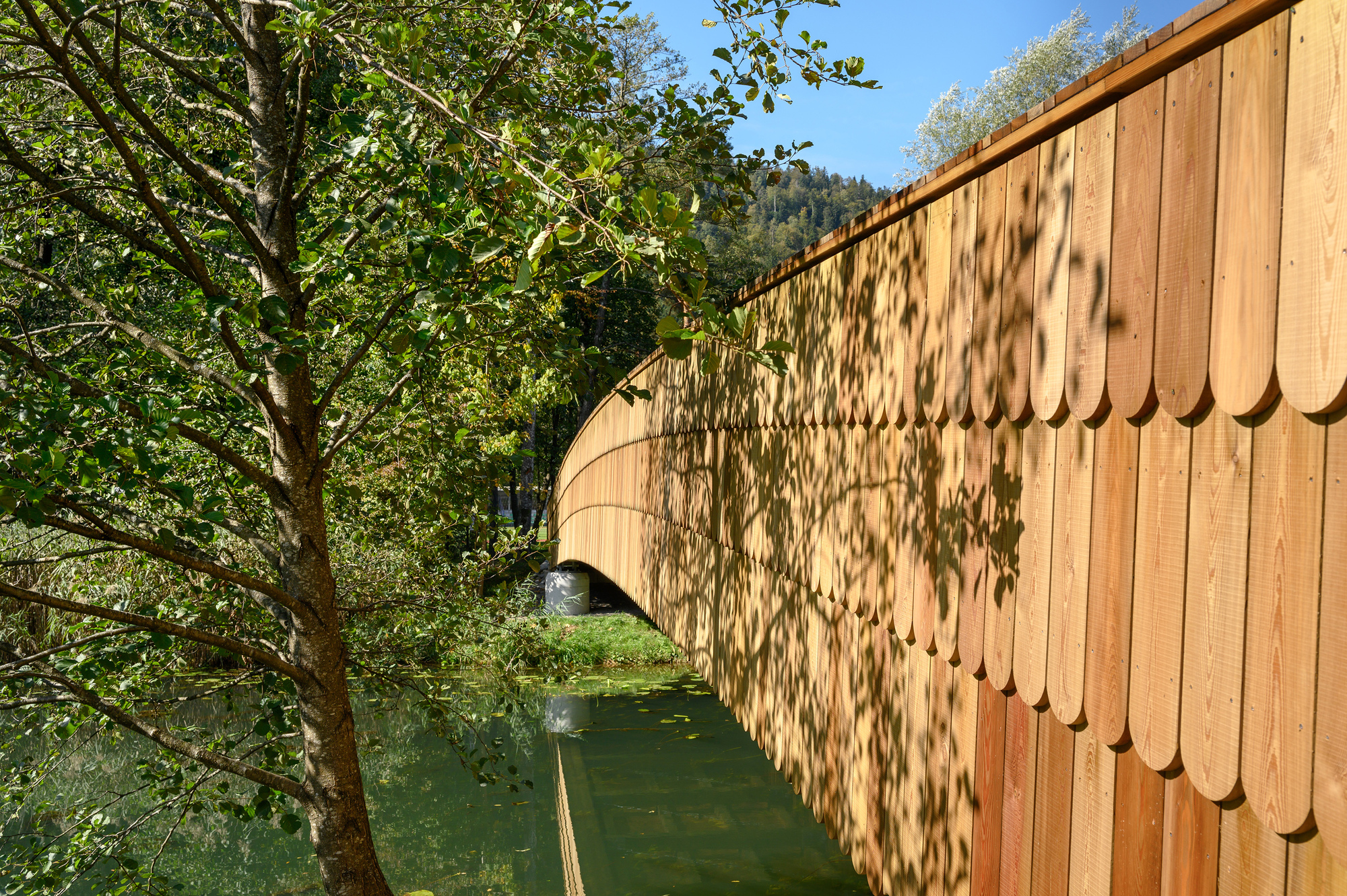 Close-up of rounded wooden shingles on the curving bridge side, dappled with leaf shadows above the water