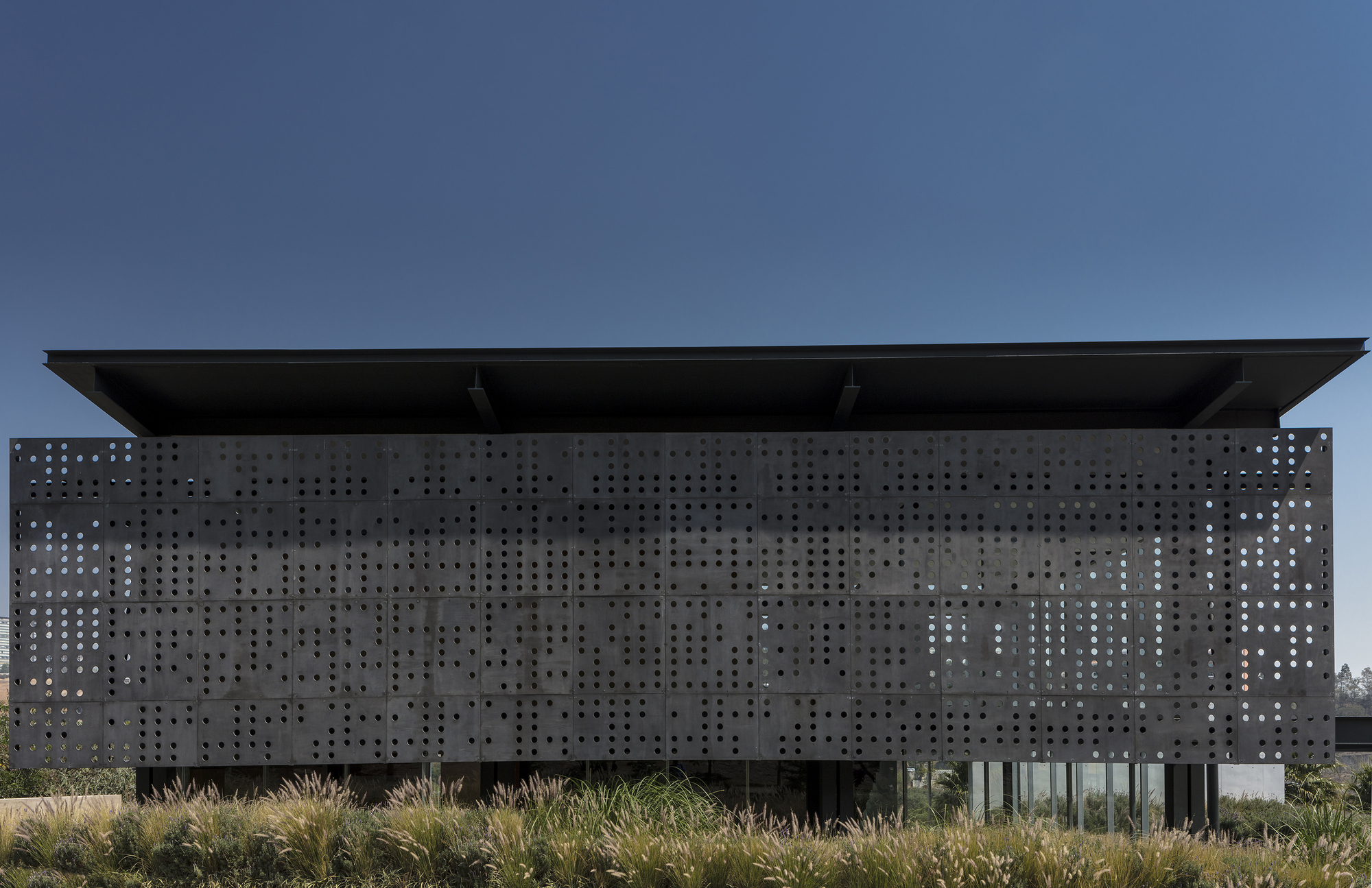 Straight-on view of the perforated dark metal screen below a flat cantilevered roof, with tall grasses in the foreground at dusk