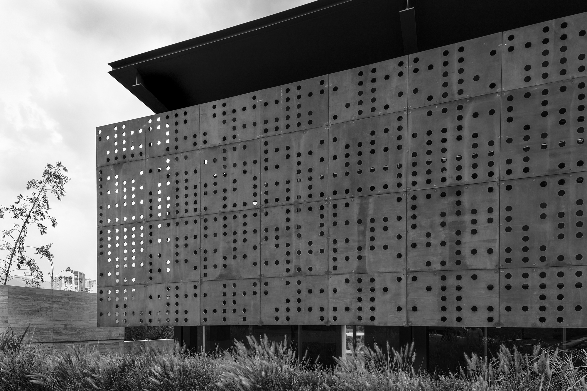 Black and white view of the dotted metal panel facade under a cloudy sky, with a young tree at left