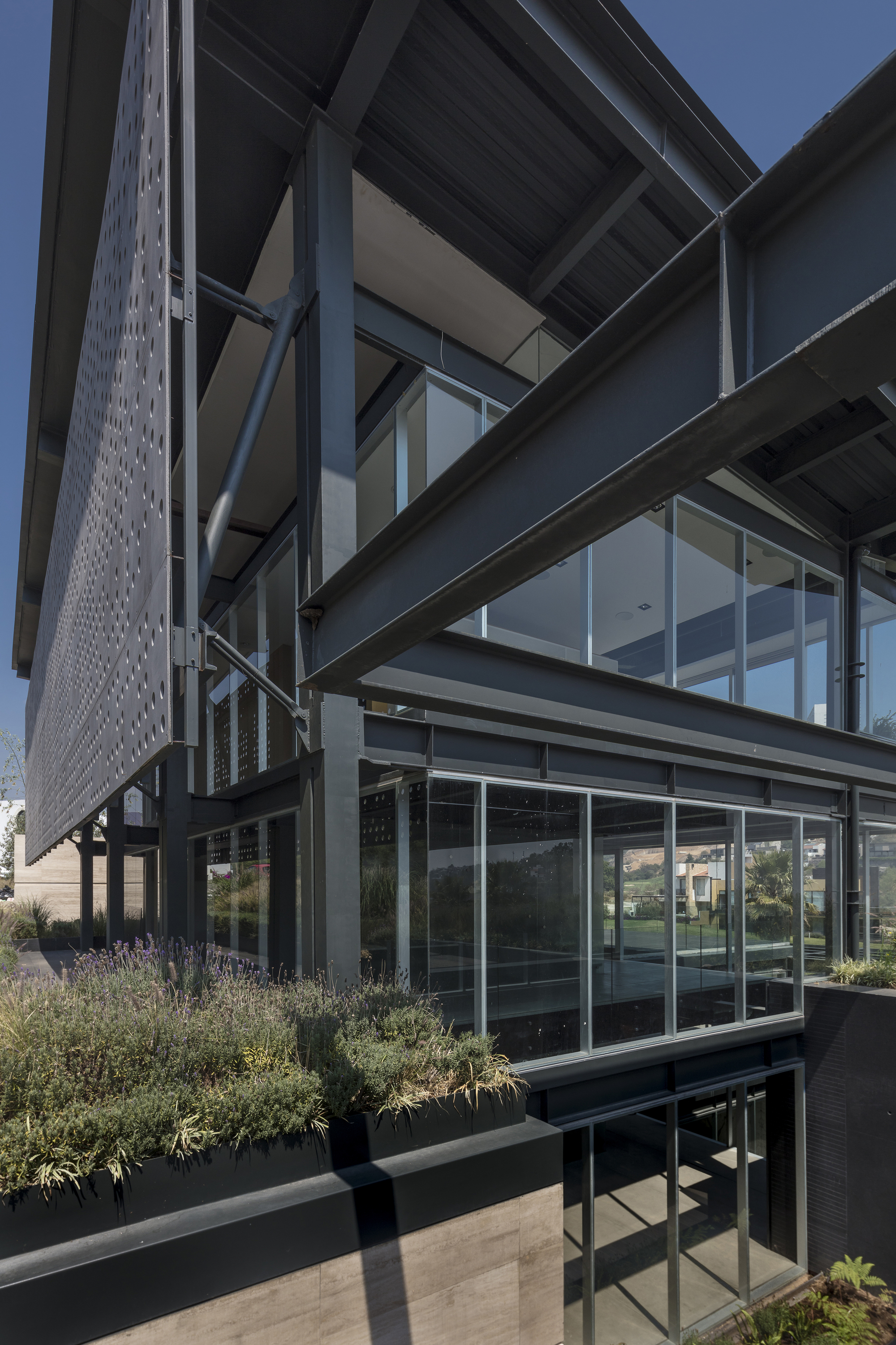 Steel frame corner with perforated metal screen, glazed walls and a lavender planter in clear afternoon sun