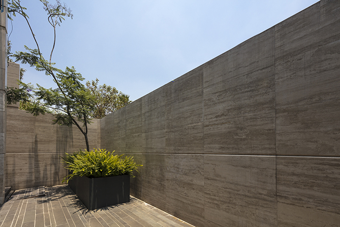 Courtyard of tall board-marked concrete walls with a black planter of ferns and a slender tree in bright daylight