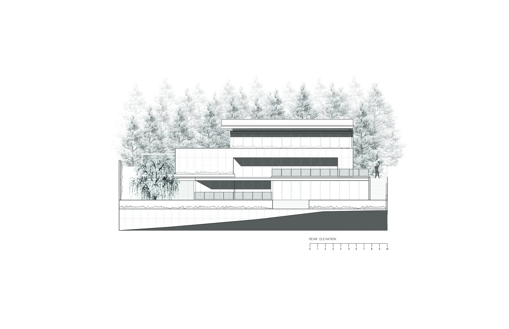 Rear elevation drawing showing stacked terraced volumes with balustrades on a sloping site, set against a dense backdrop of tall conifers and a weeping tree