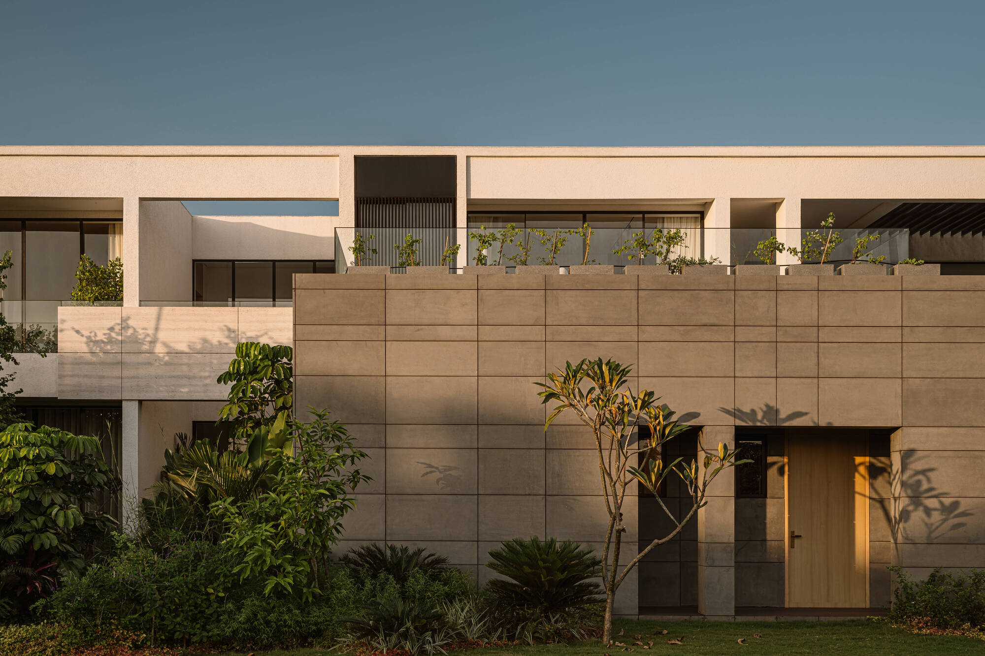 Stone-clad entrance wall with a timber door and a frangipani tree casting shadows in low evening light