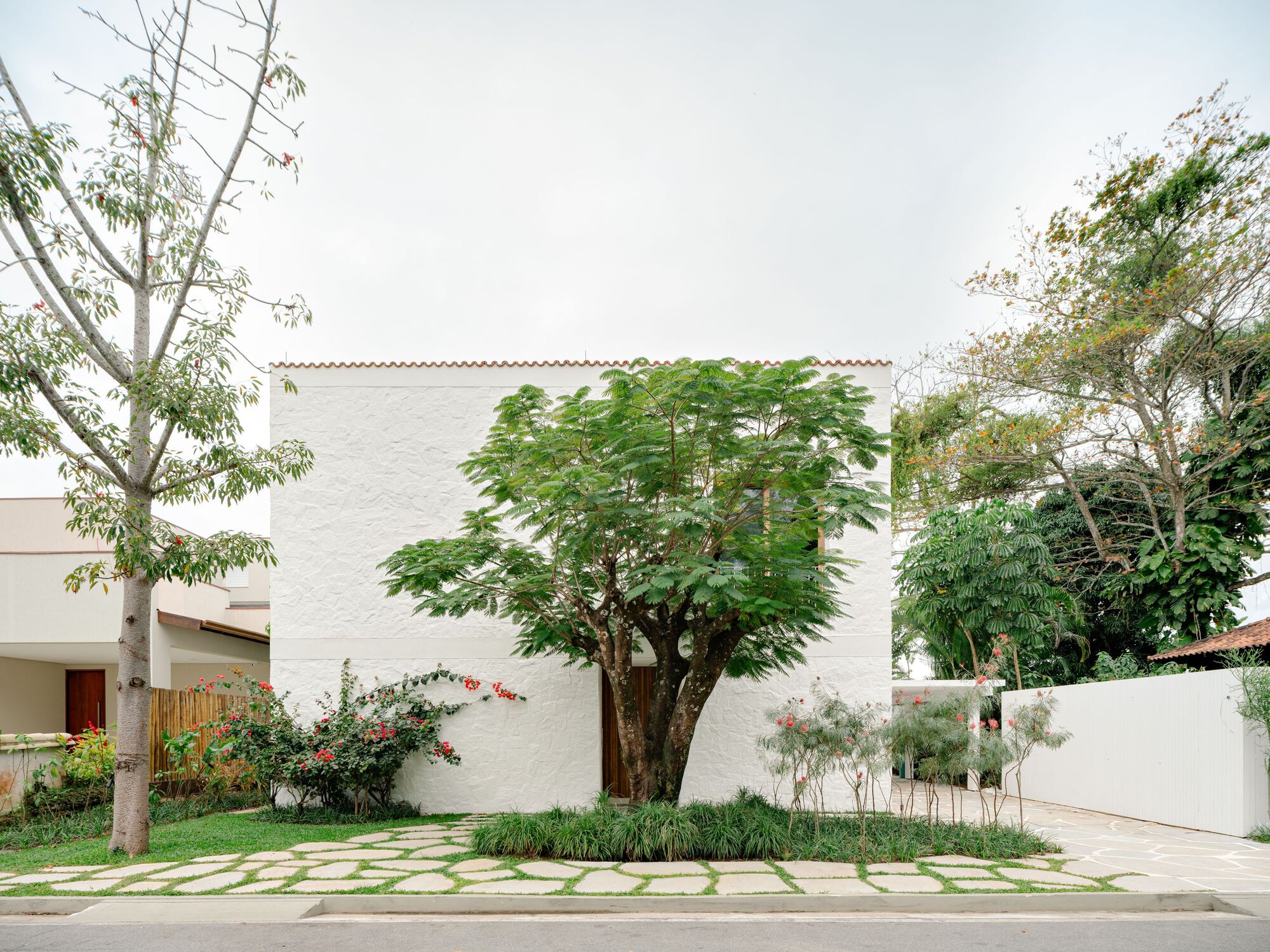Street-side facade of rough white plaster with a large leafy tree and flowering shrub in front, stone path along the edge