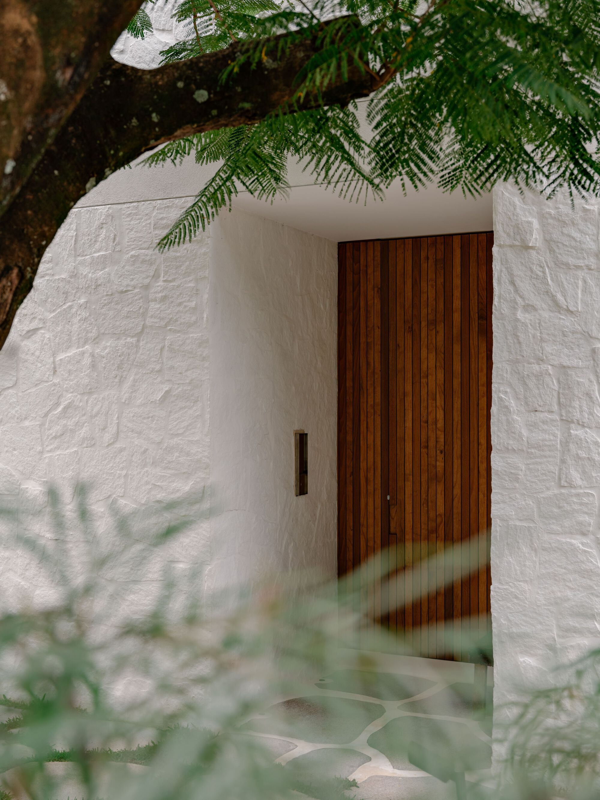 Vertical timber slat front door set into a rough white stone wall, half hidden behind feathery tree leaves