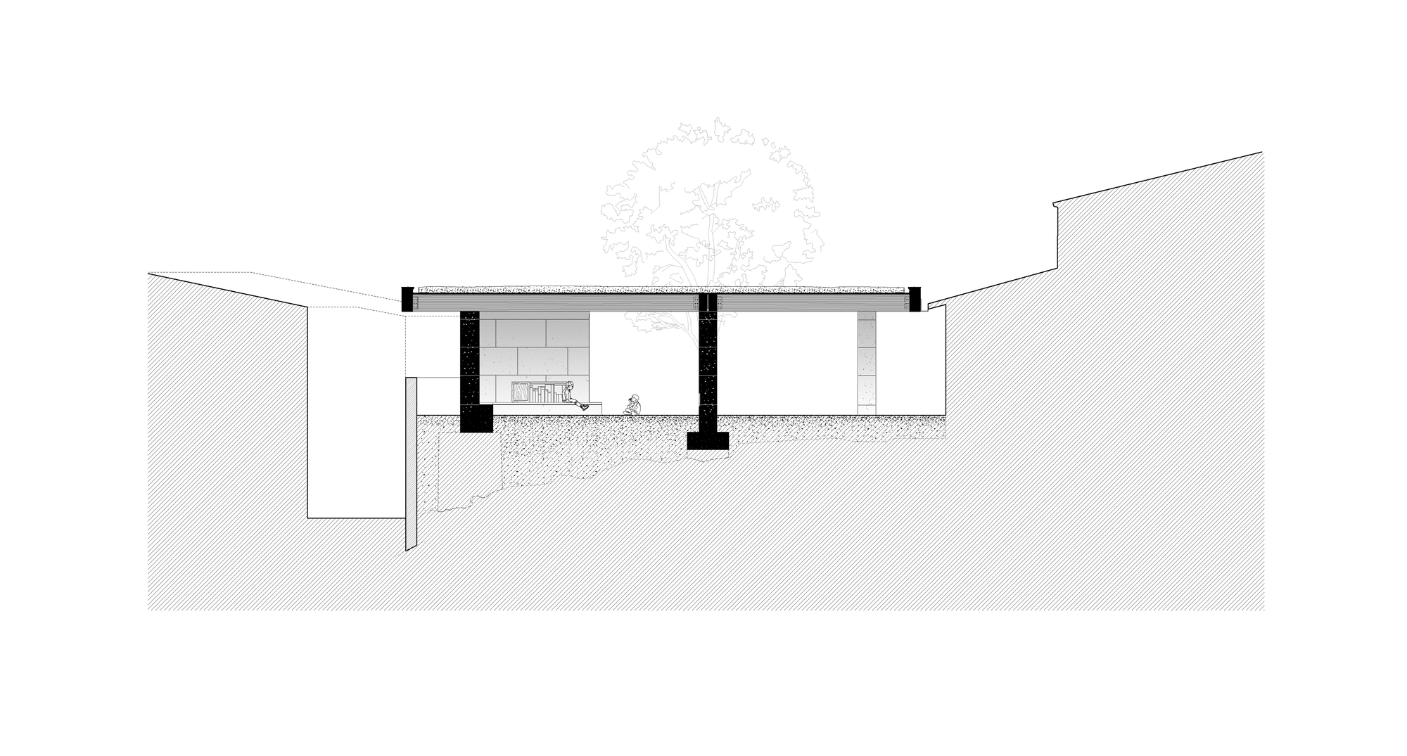 Section drawing of a flat planted roof carried on black columns above a tree, cut into sloping hatched ground