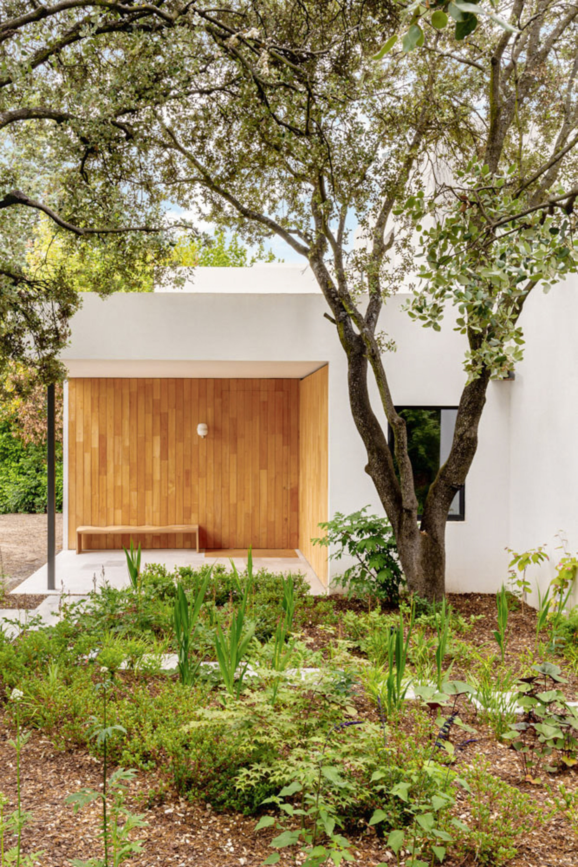 Timber-clad entrance porch with a built-in bench, framed by an oak trunk and a planted bed of ferns and grasses