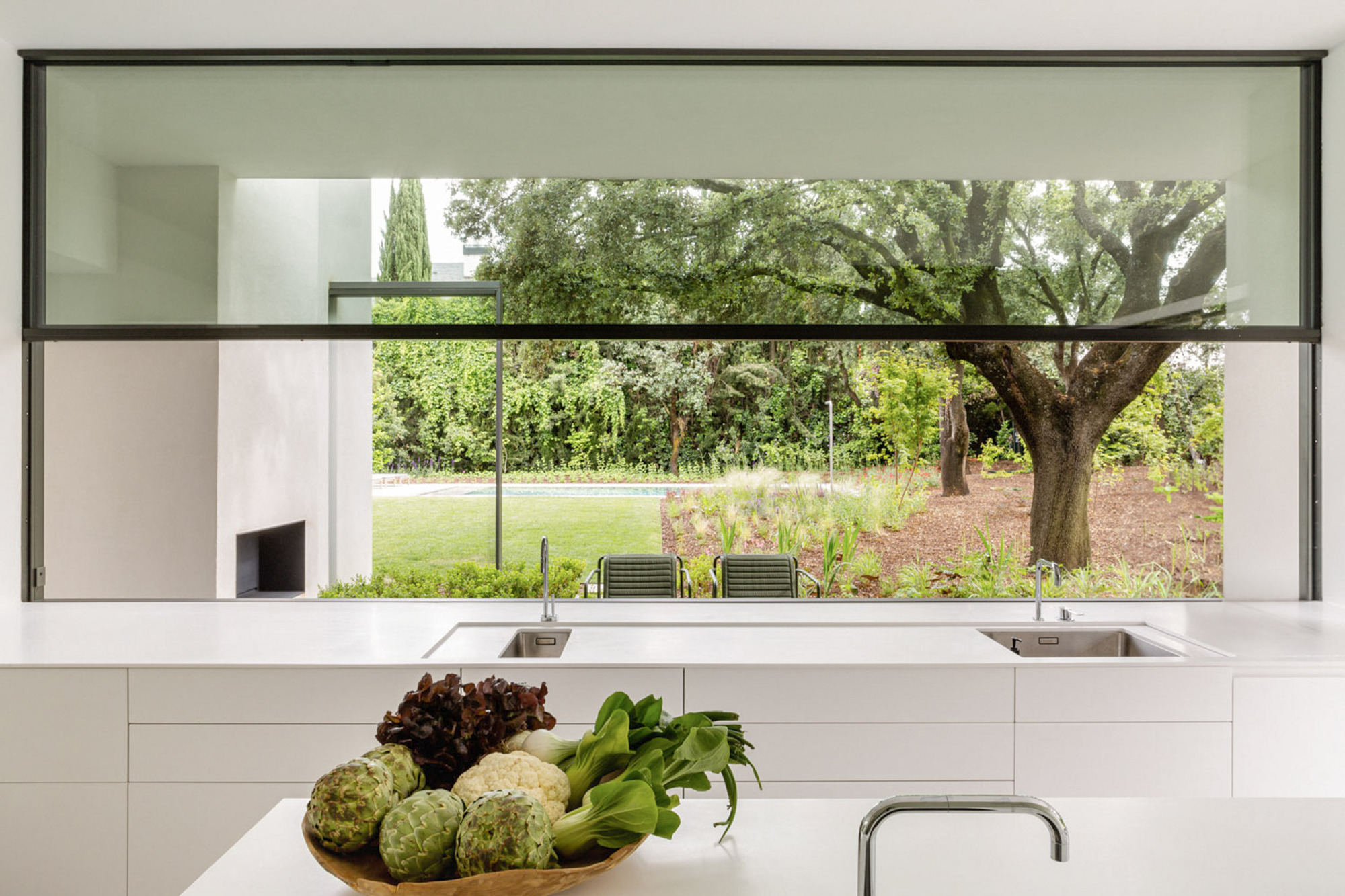 Kitchen counter with twin sinks beneath a wide window framing a large oak tree and lawn in soft daylight